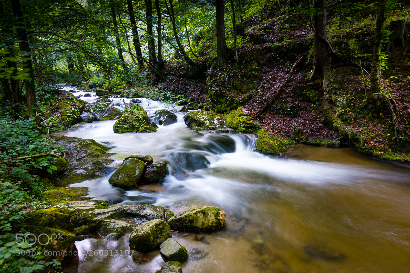 Sony DSC-RX100M5 sample photo. Mountain river - stream photography