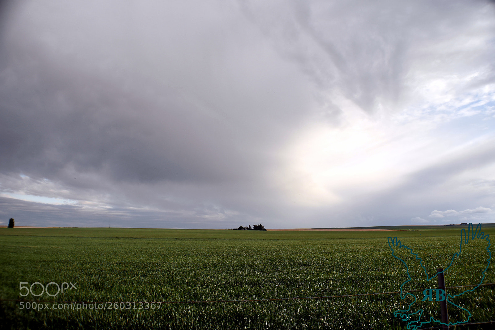 Nikon D3400 sample photo. 05-30-2.jpg photography