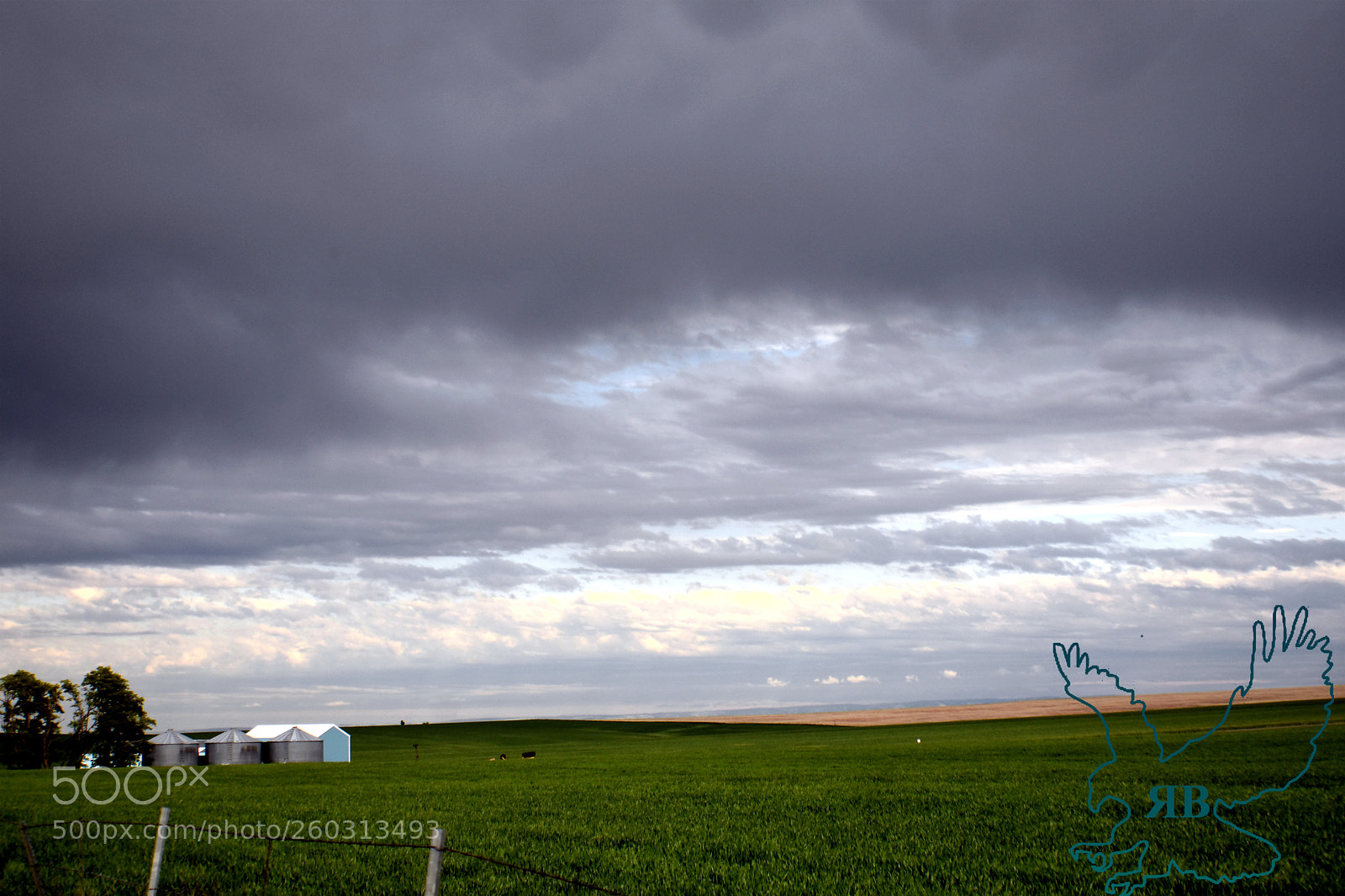 Nikon D3400 sample photo. 05-30-3.jpg photography