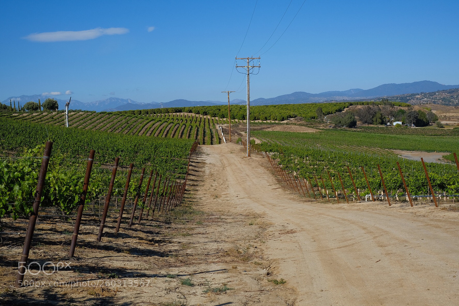 Fujifilm X-T2 sample photo. Winery  photography