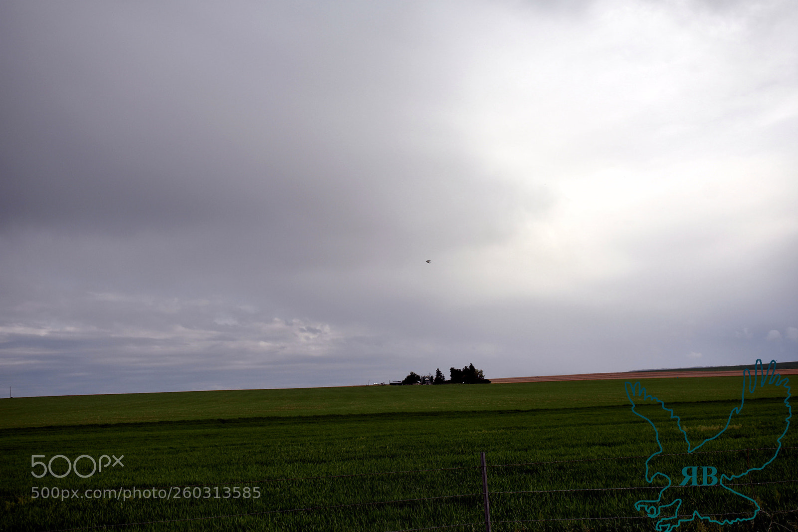 Nikon D3400 sample photo. 05-30-4.jpg photography