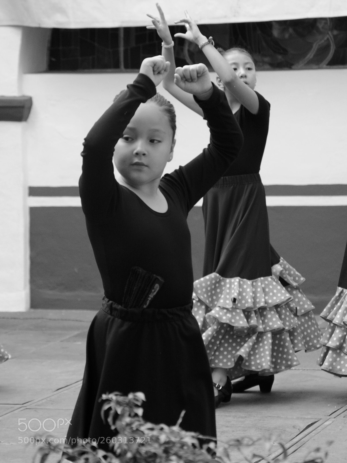 Nikon D7100 sample photo. Orgullo... photography