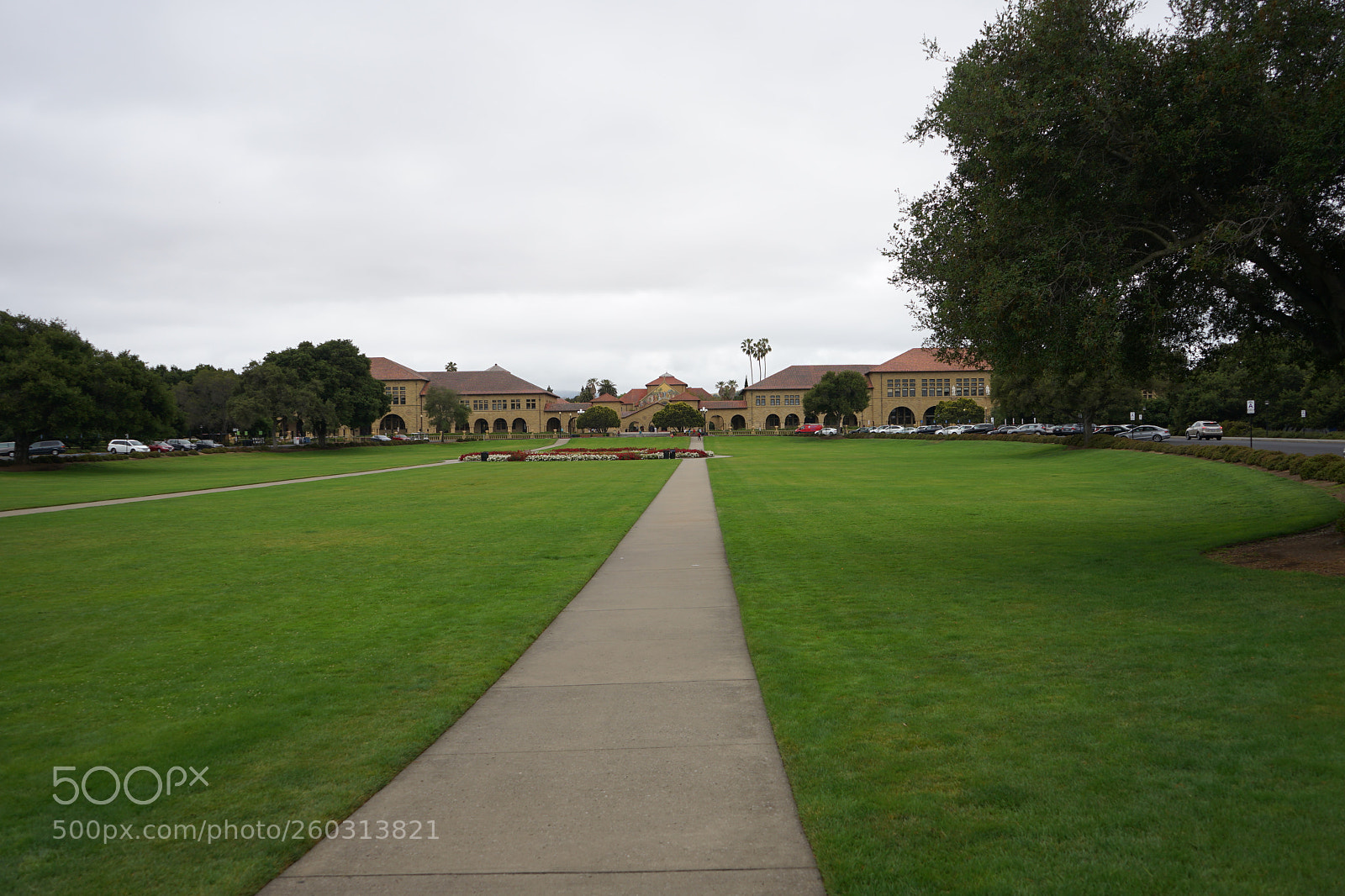 Sony a7 II sample photo. Dsc photography