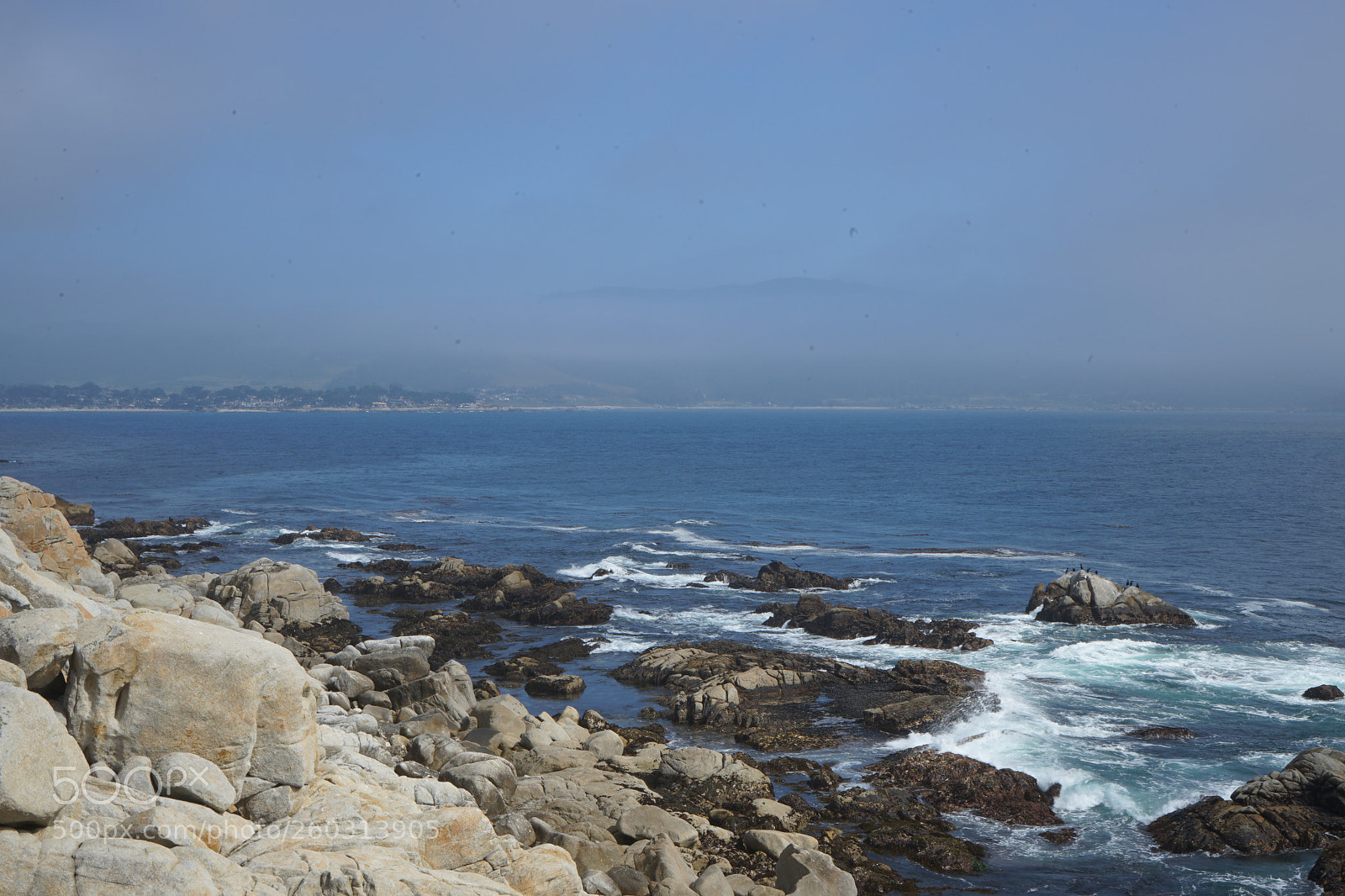 Sony a7 II sample photo. Dsc photography