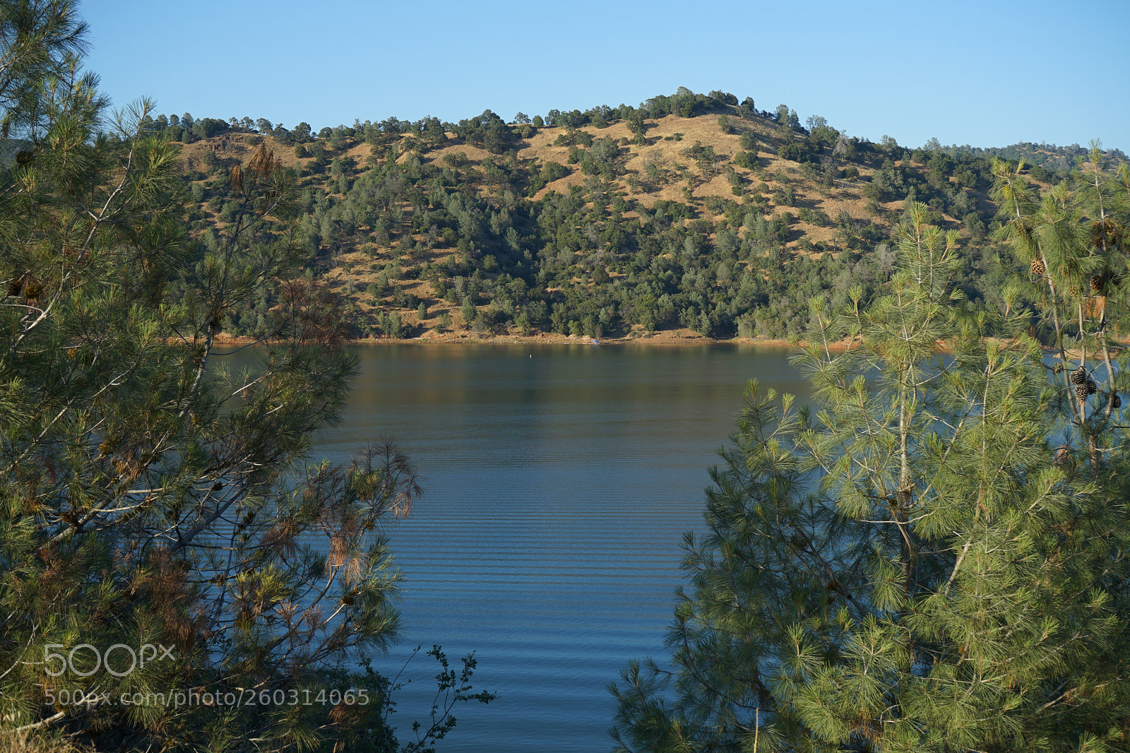 Sony a7 II sample photo. Dsc photography