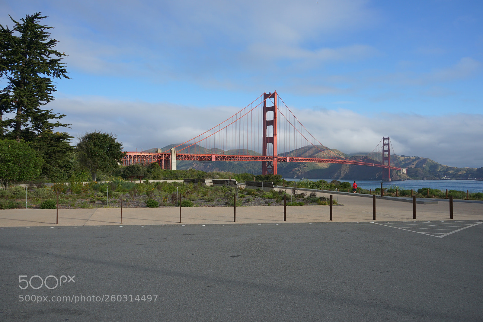 Sony a7 II sample photo. Dsc photography