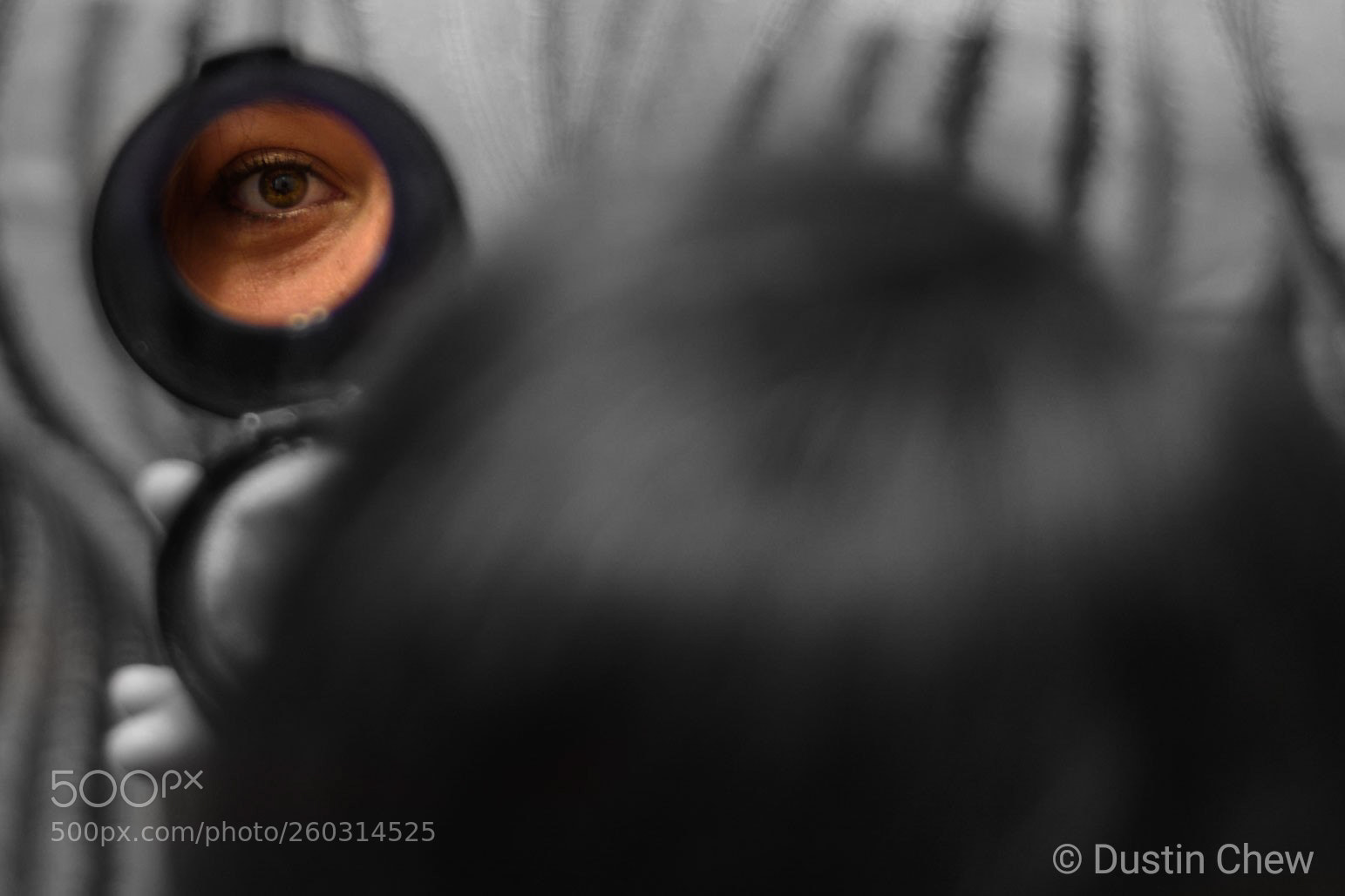 Nikon D7200 sample photo. Untitled photography