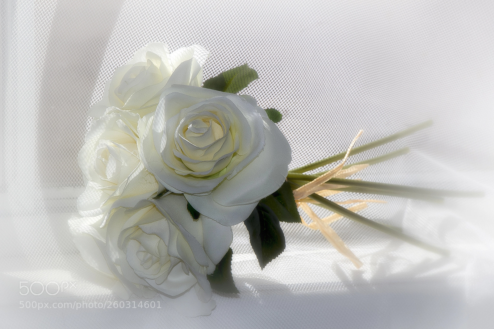 Canon EOS 60D sample photo. Dreamy roses photography