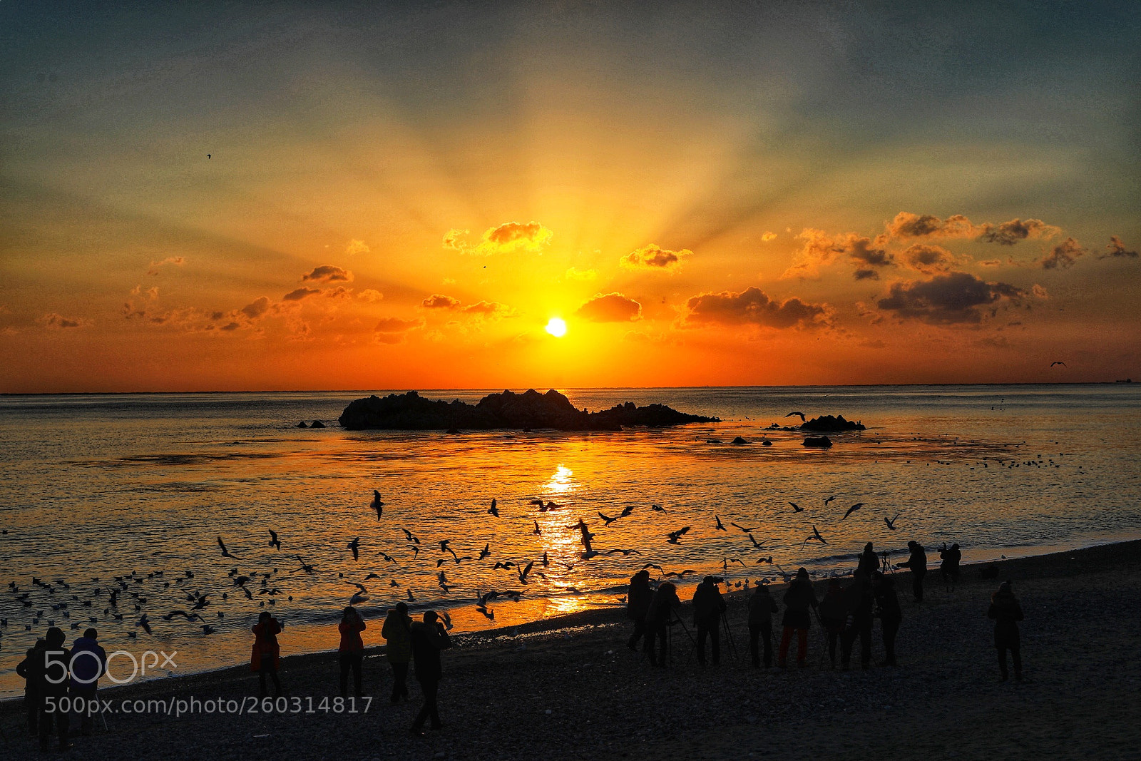 Canon EOS 5D Mark IV sample photo. Sunrise,surprise~! photography