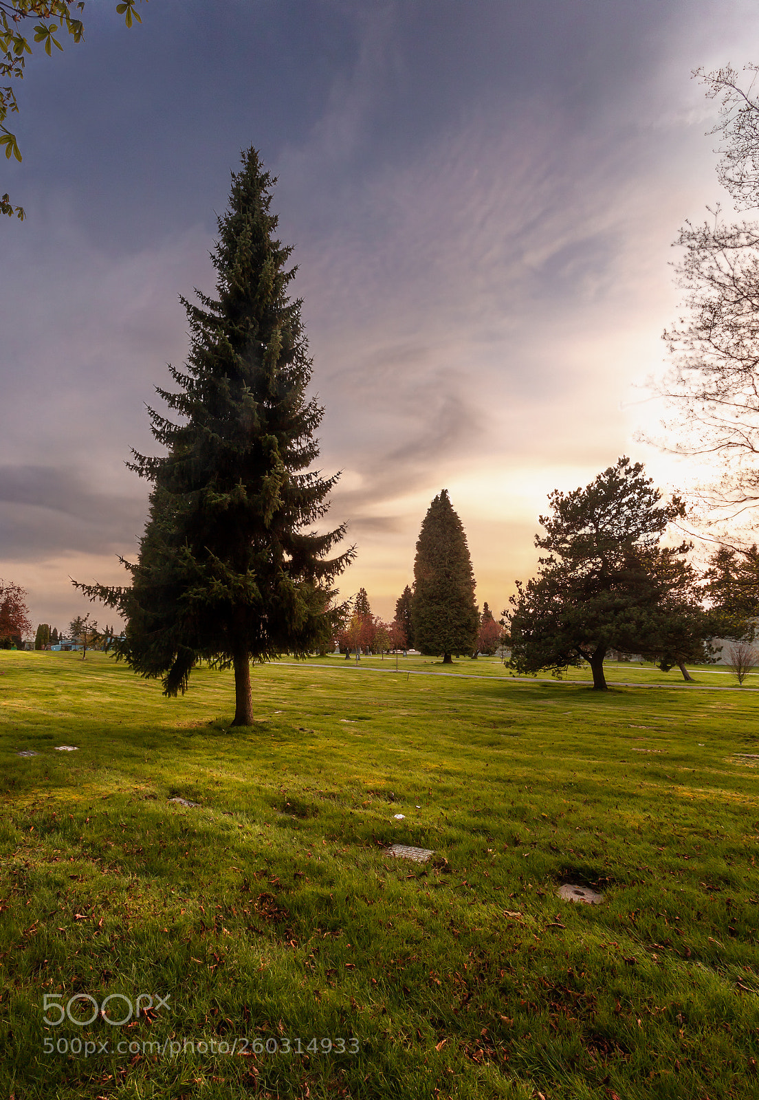 Canon EOS 6D sample photo. Nature's beauty photography