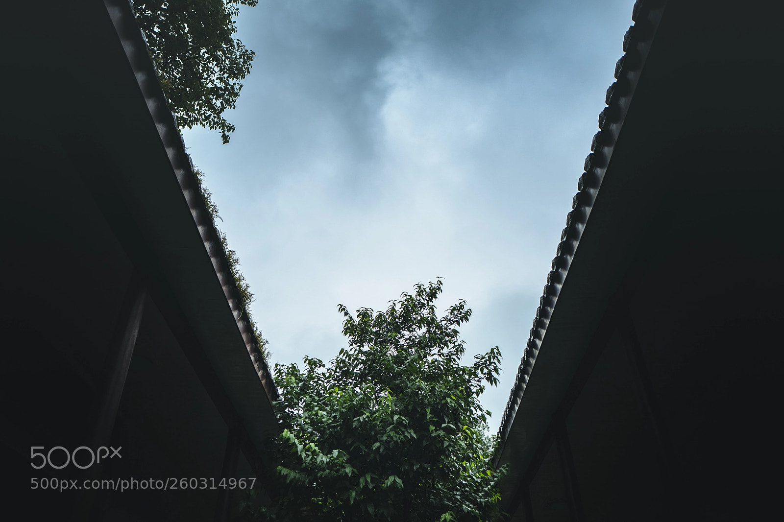 Leica Q (Typ 116) sample photo. An afternoon photography