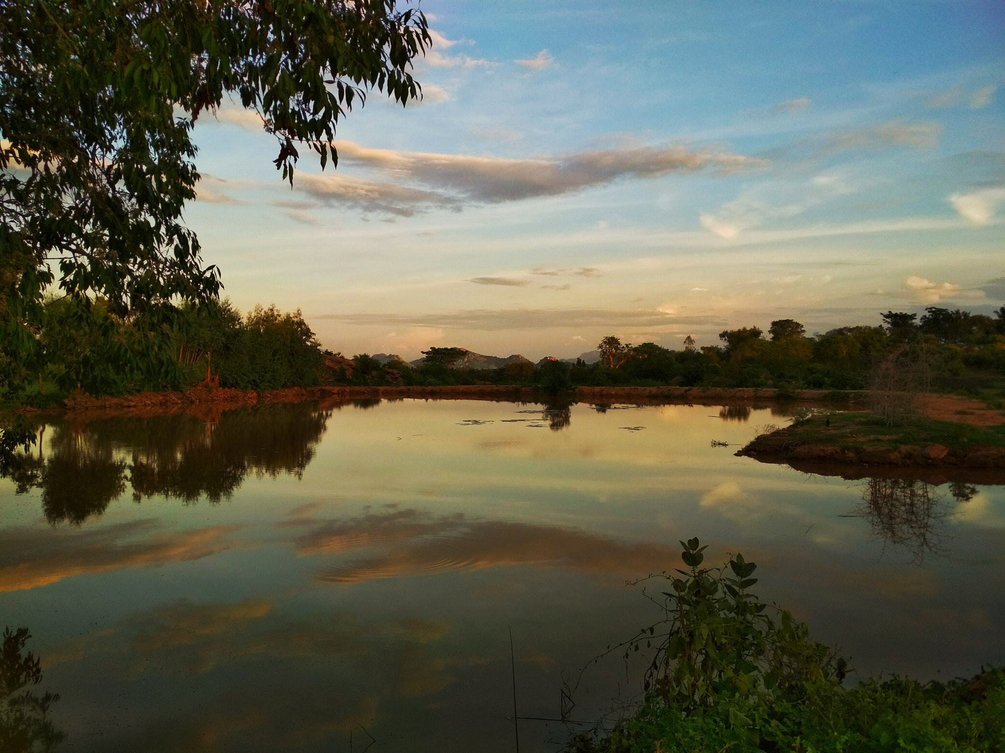 Xiaomi Redmi 4 Pro sample photo. Beautiful nature photography