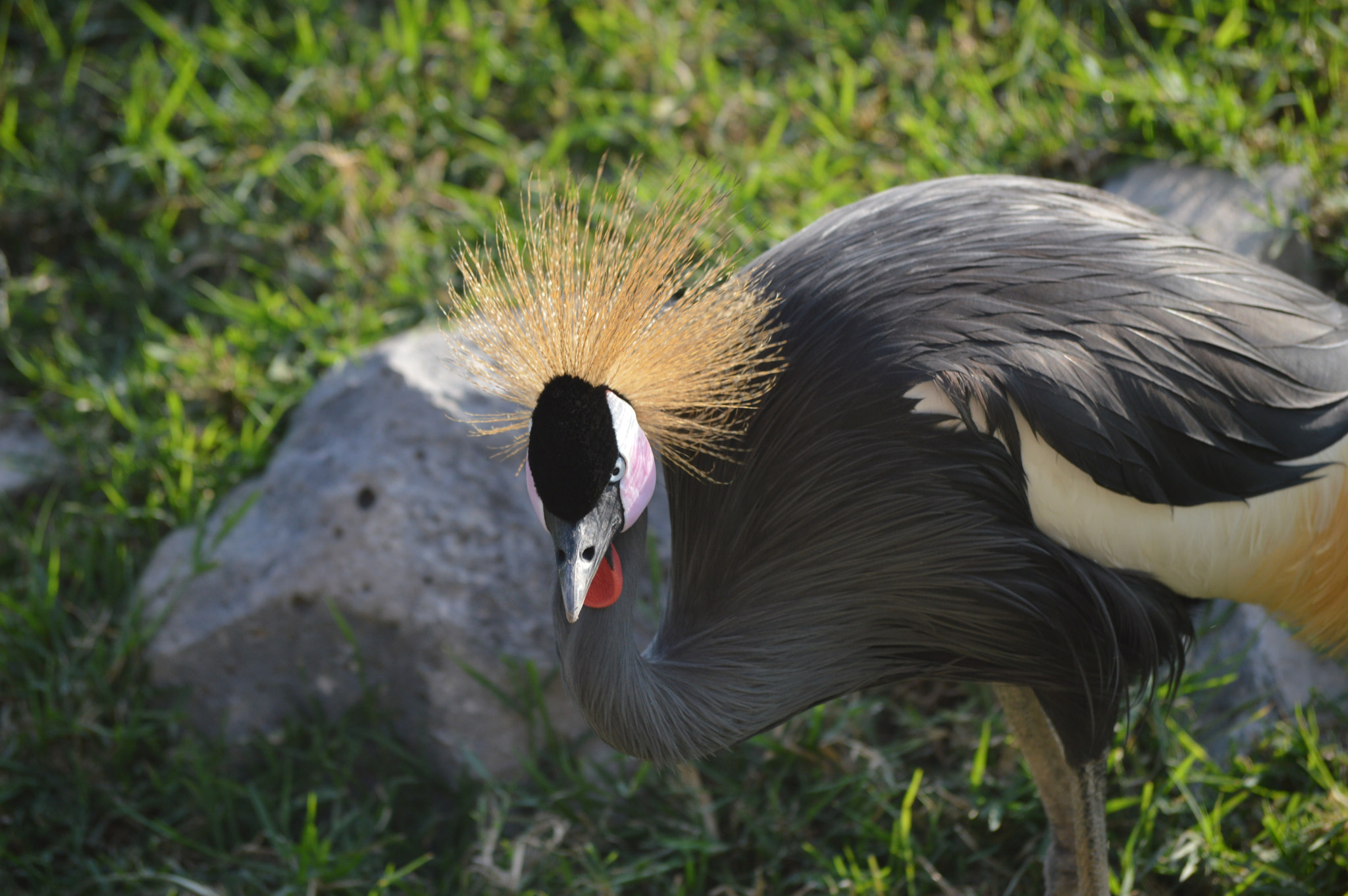 Nikon D3200 sample photo. Fino photography