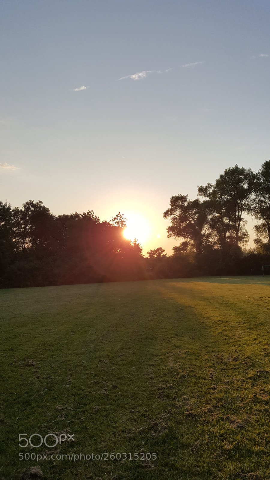 Samsung Galaxy S6 sample photo. Untitled photography