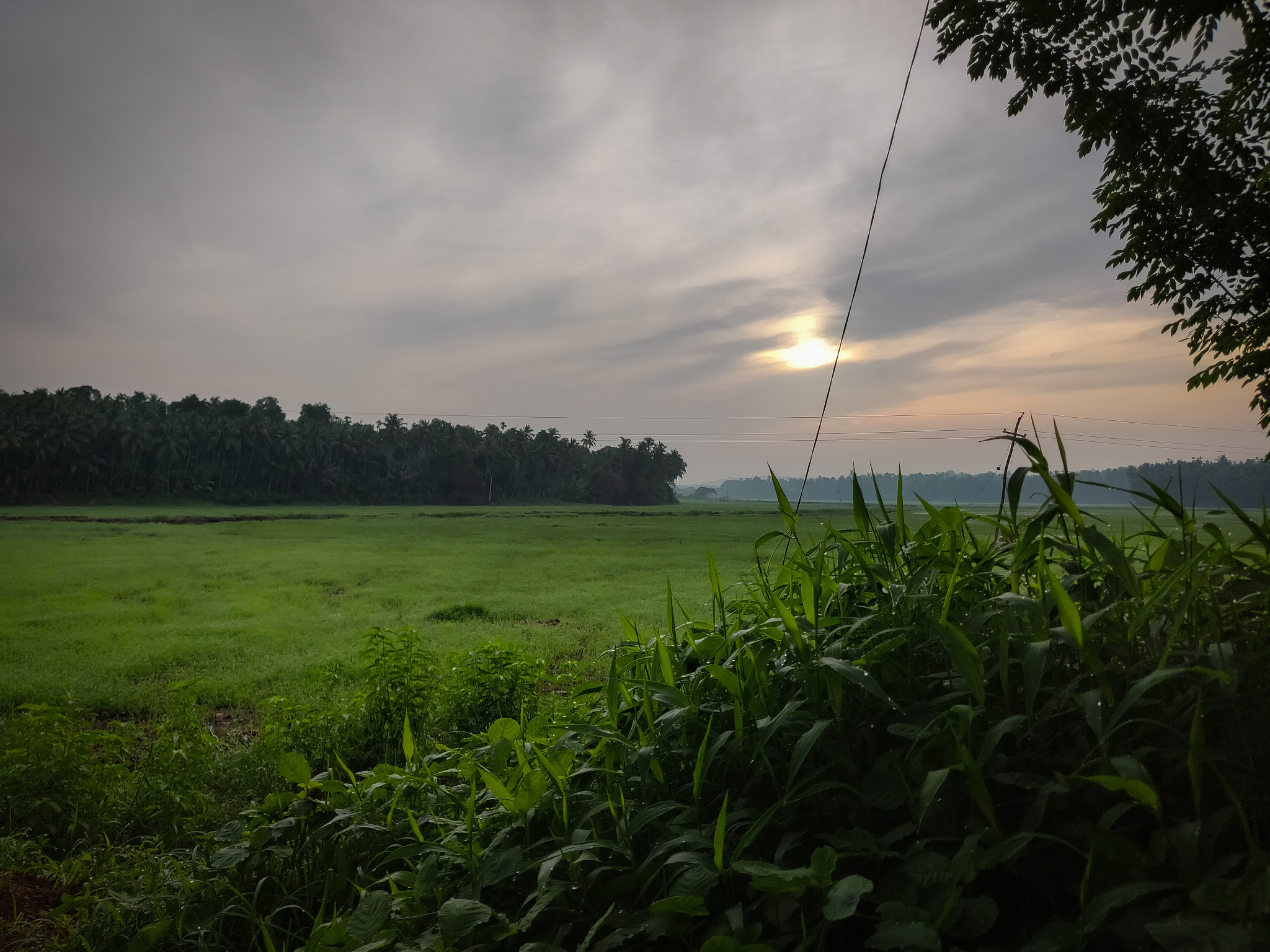 OnePlus A6000 sample photo. Morning photography