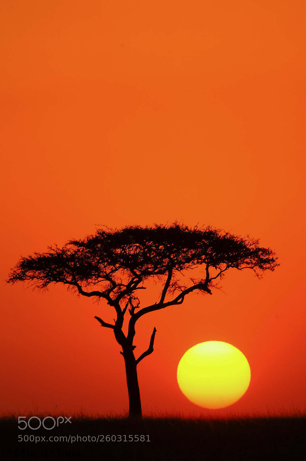 Nikon D300 sample photo. The sunset and the photography