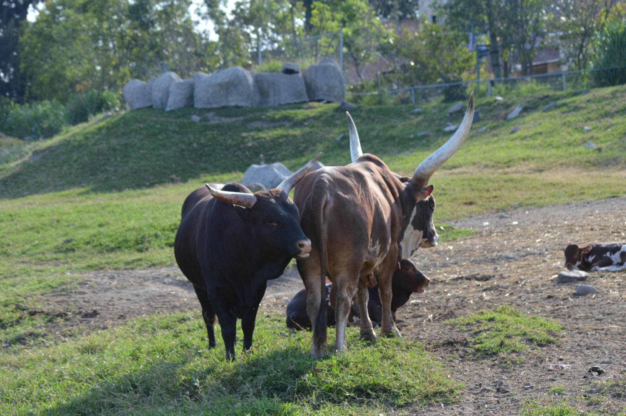Nikon D3200 sample photo. Entre compas photography