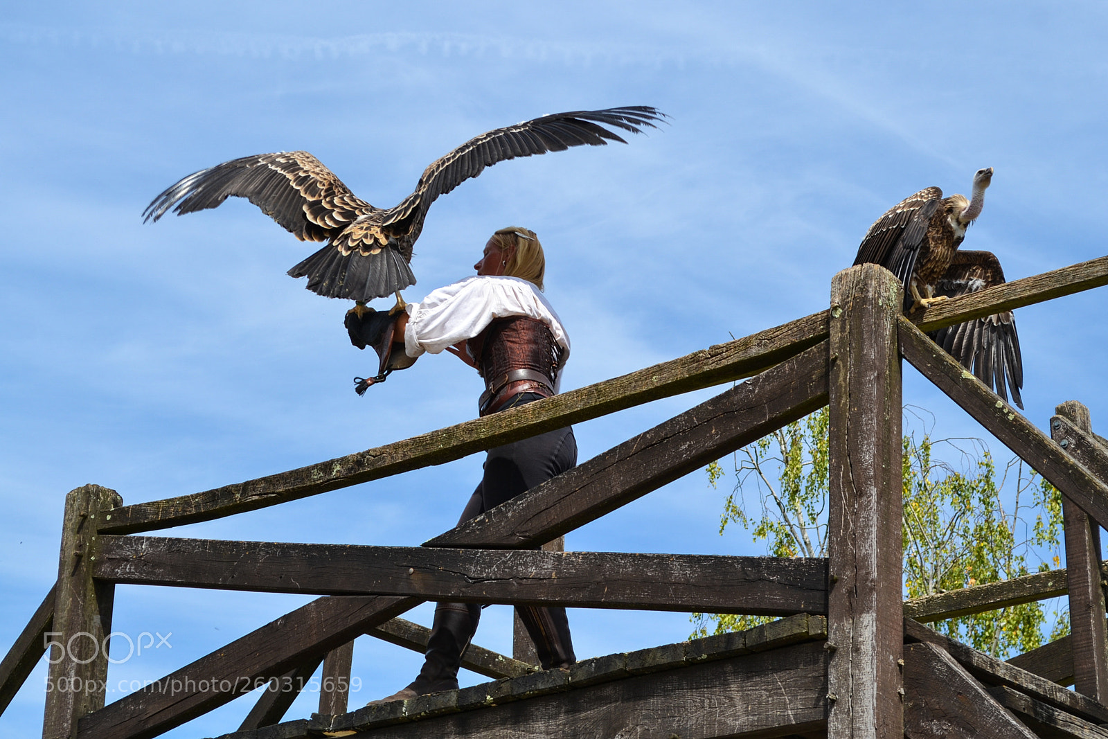 Nikon D3100 sample photo. Flight start photography