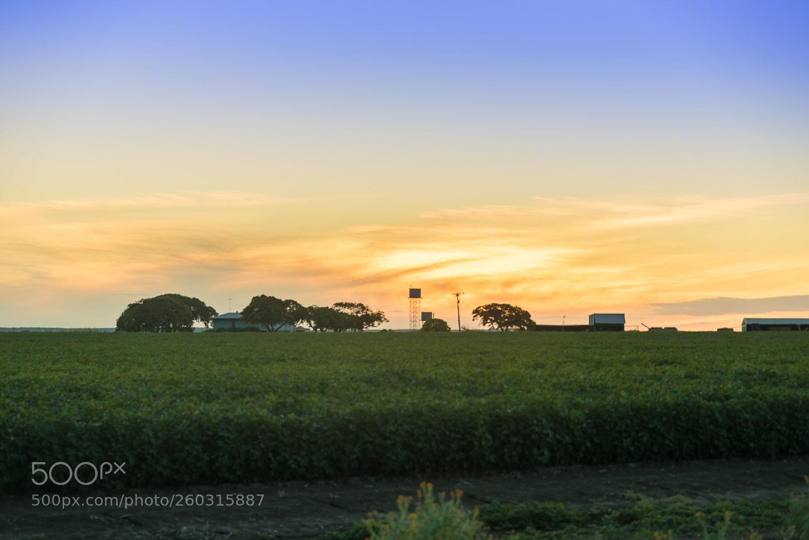 Nikon D750 sample photo. Landscapes/fields photography