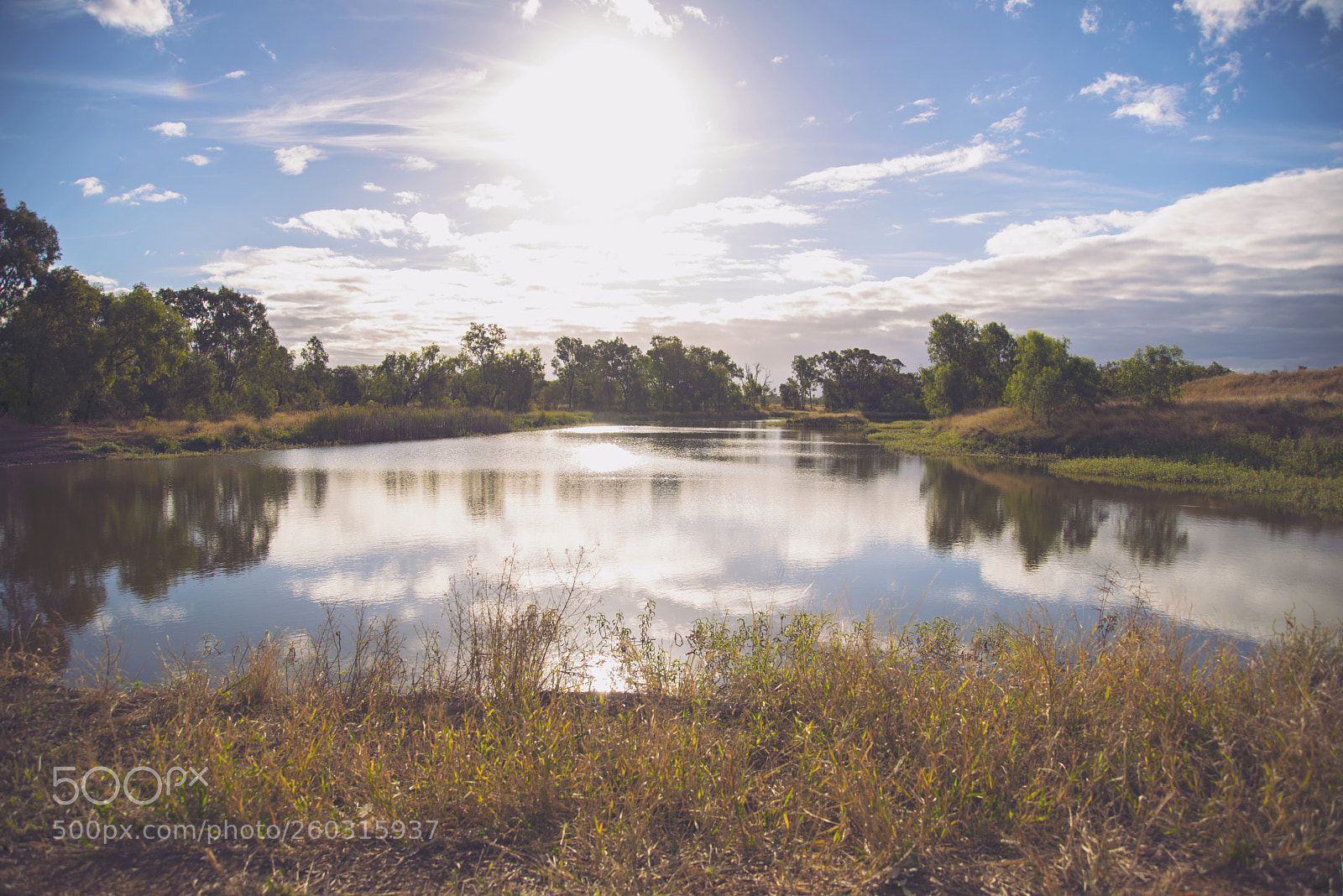 Nikon D750 sample photo. Landscapes/fields photography