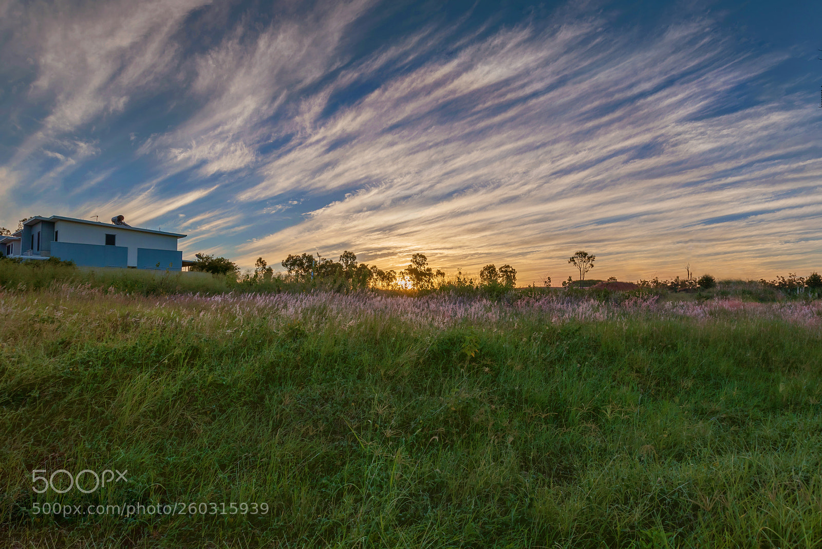Nikon D750 sample photo. Landscapes/fields photography