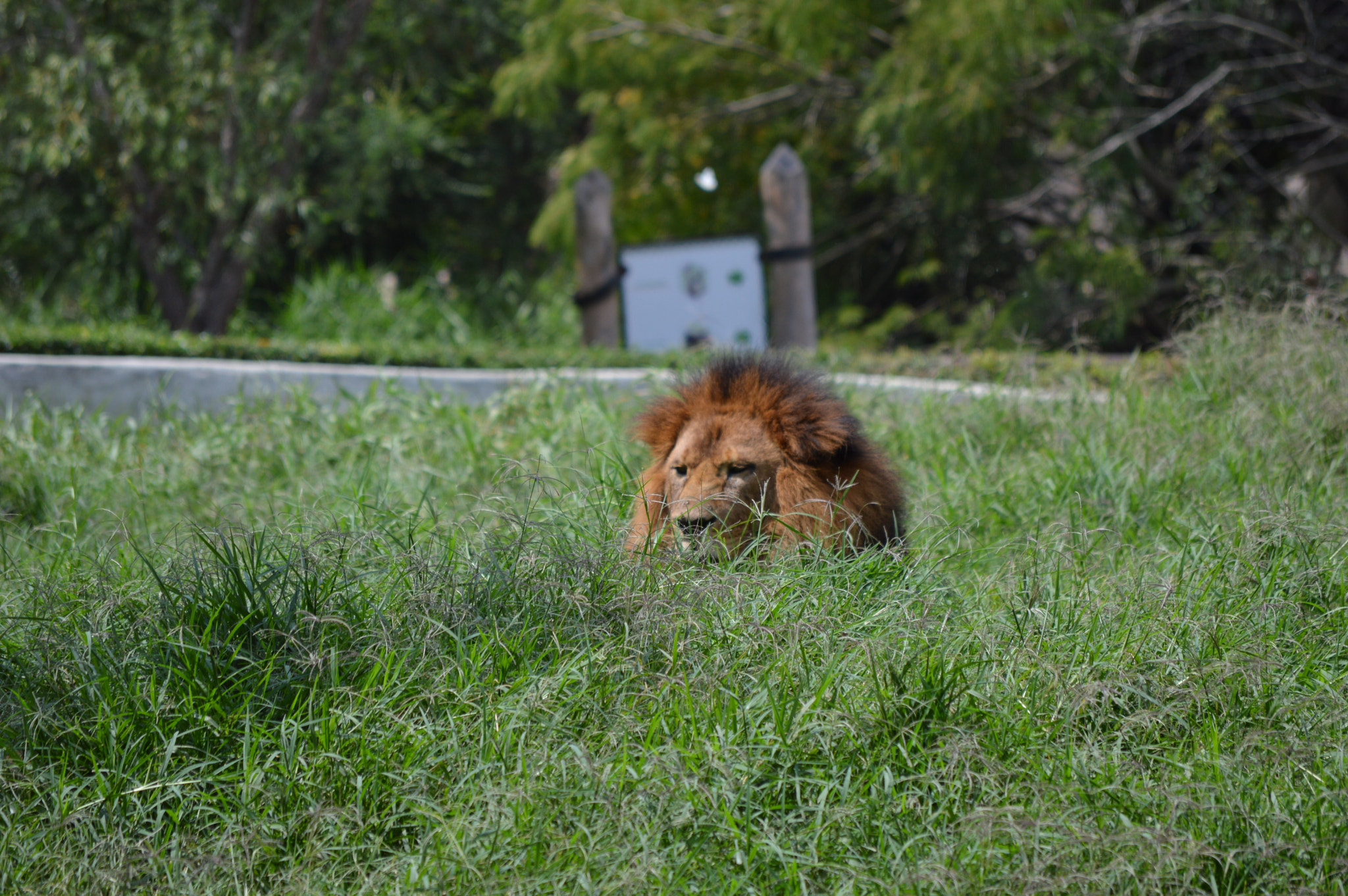 Nikon D3200 sample photo. Rey alex photography