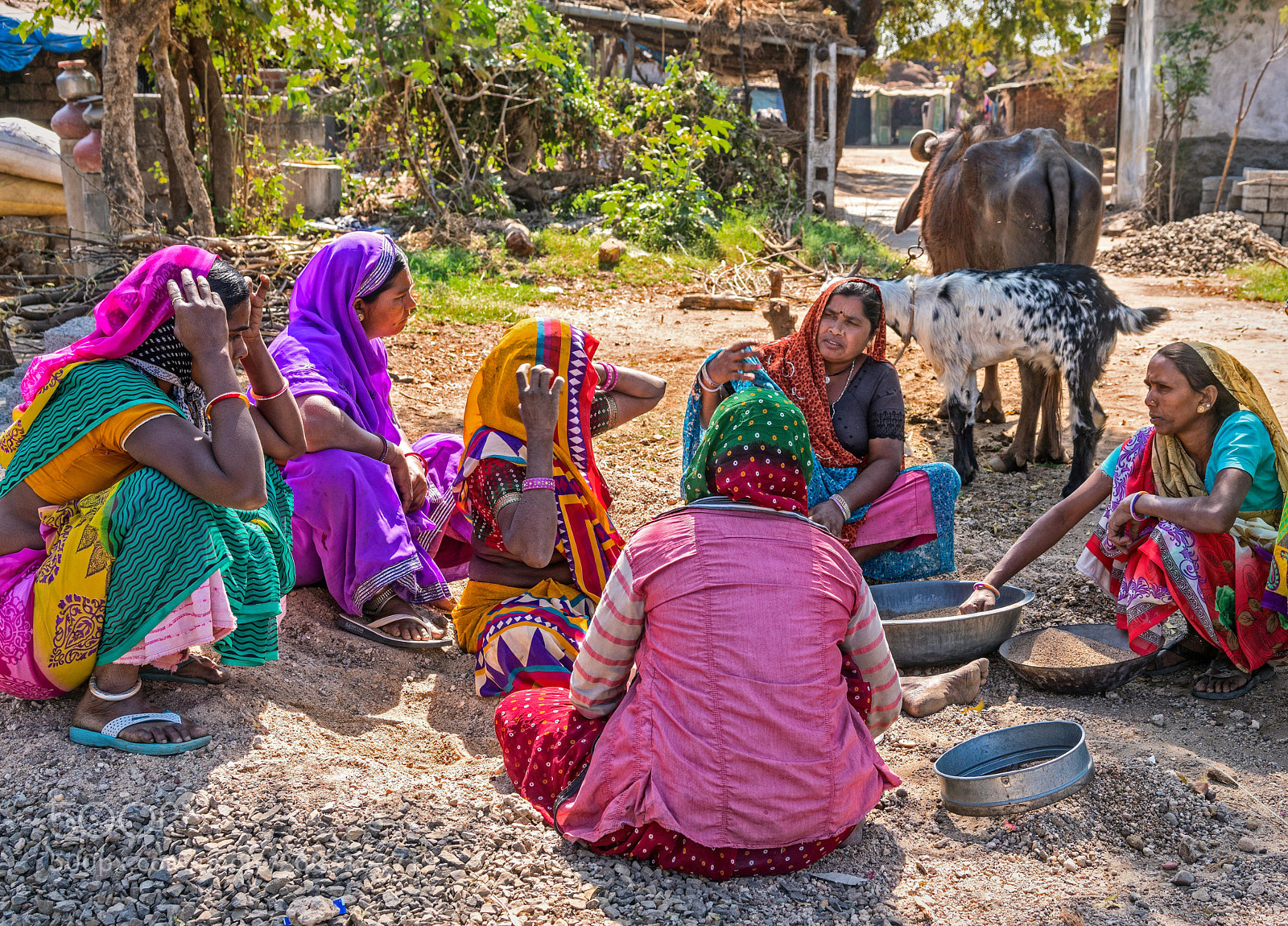 Sony a7R II sample photo. Indian village women photography
