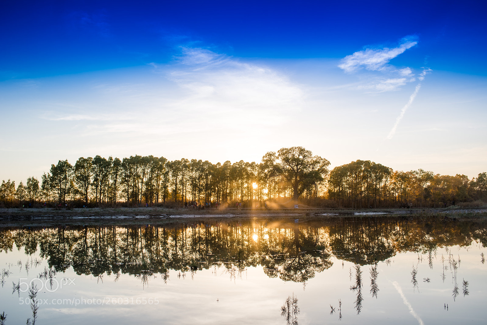 Nikon D810 sample photo. 胡杨林 photography