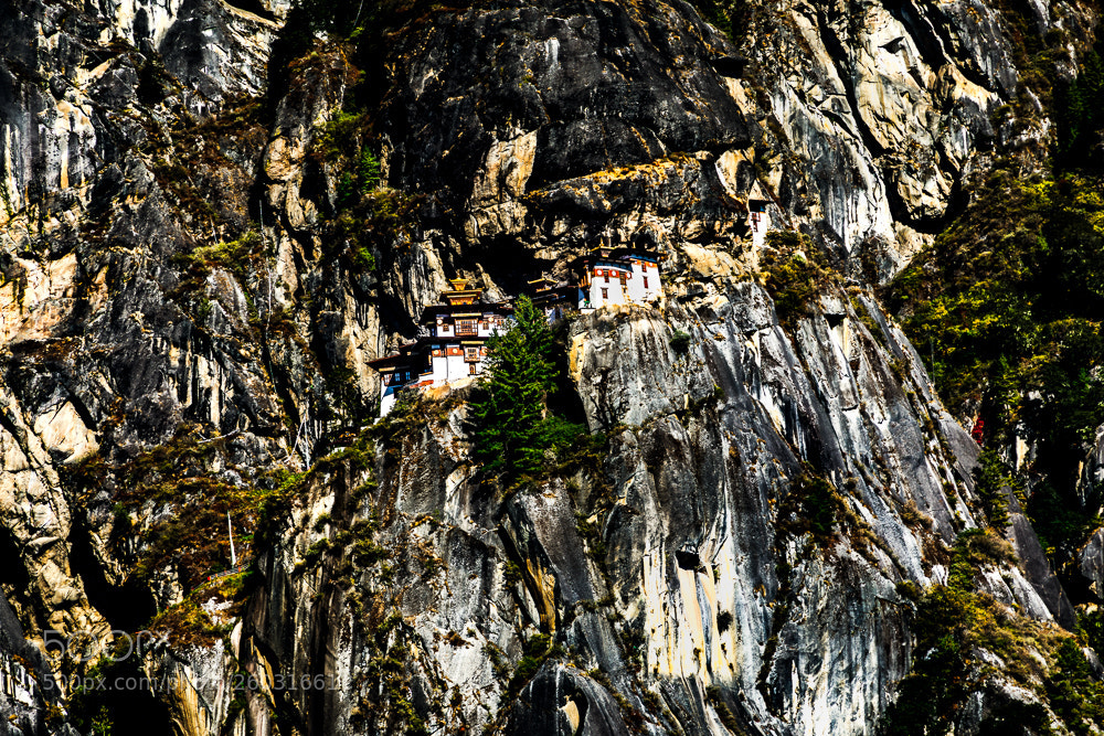 Canon EOS 5D Mark IV sample photo. Tiger's nest photography
