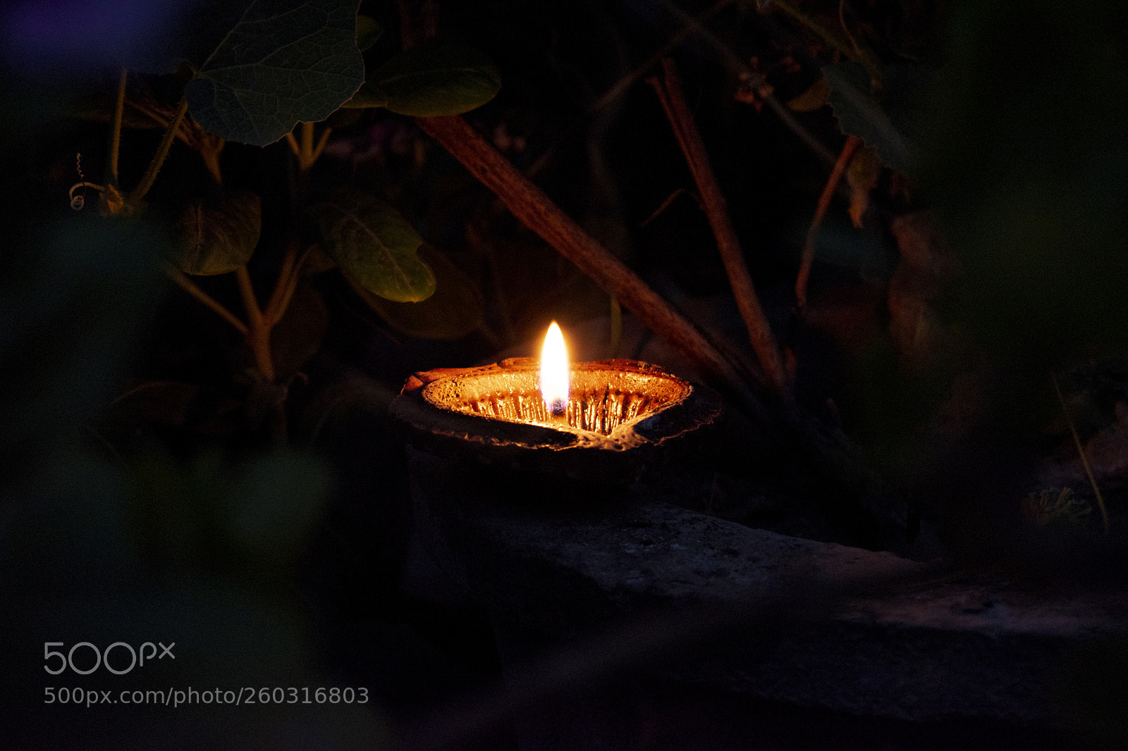 Nikon D5600 sample photo. Light it up photography