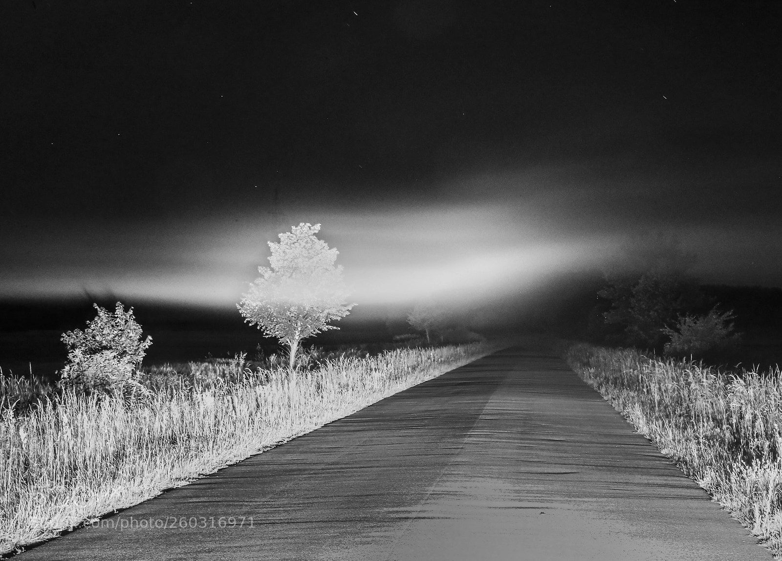 Canon EOS-1D X sample photo. Road trip photography