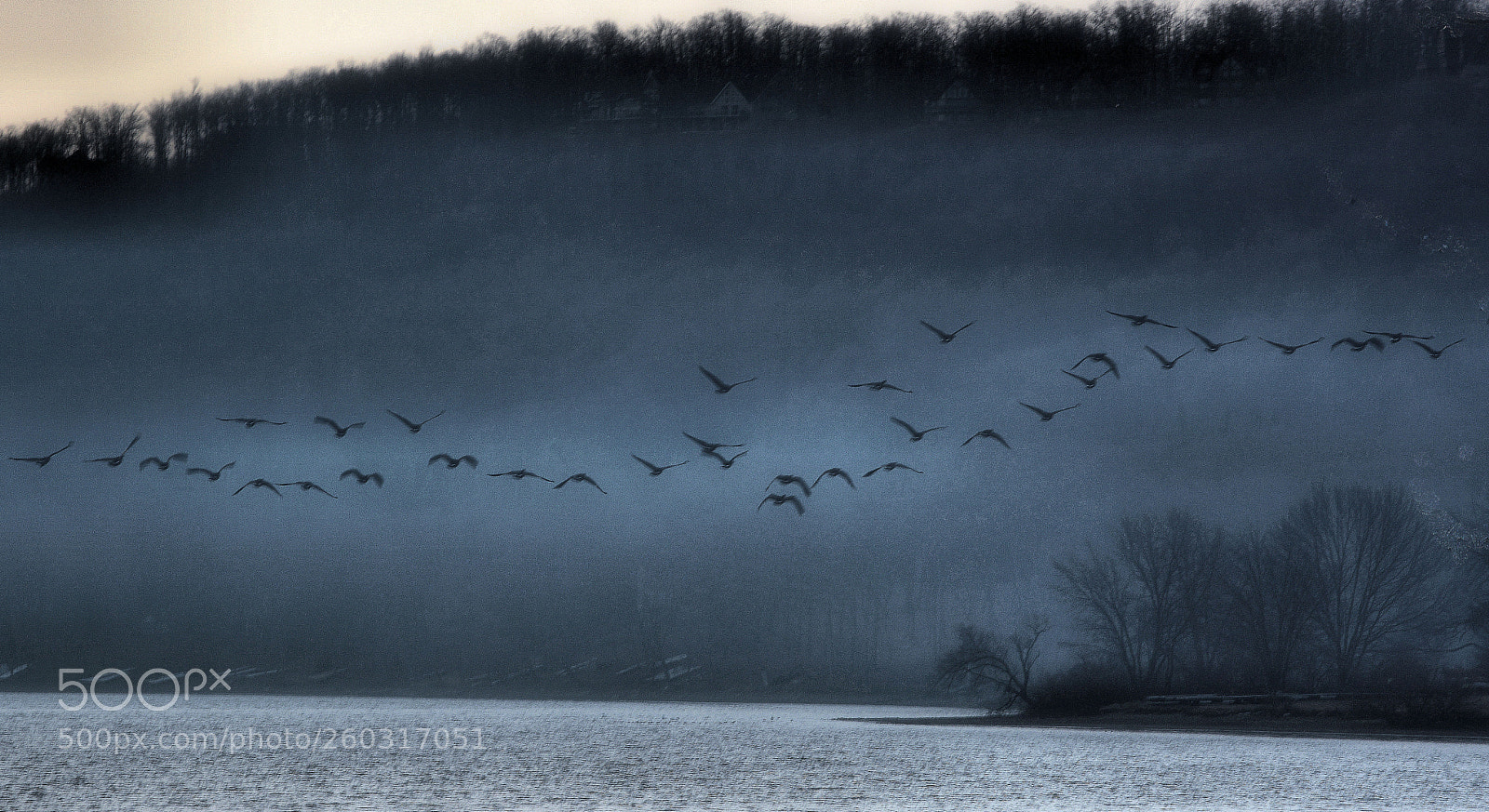 Nikon D5200 sample photo. Honkin photography