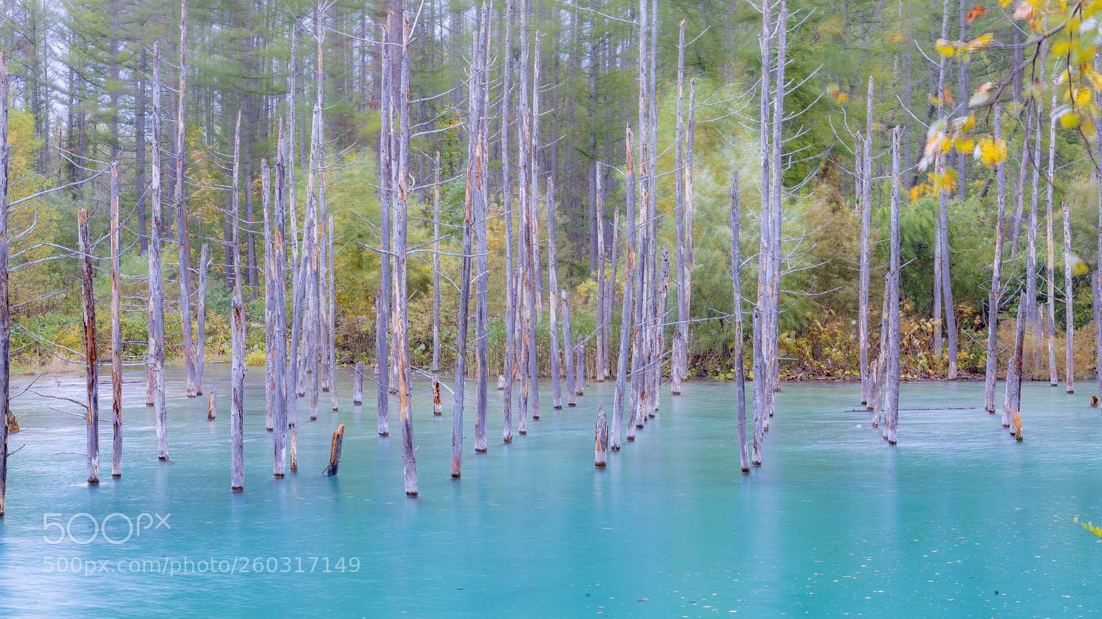 Sony a7 II sample photo. The green lake photography