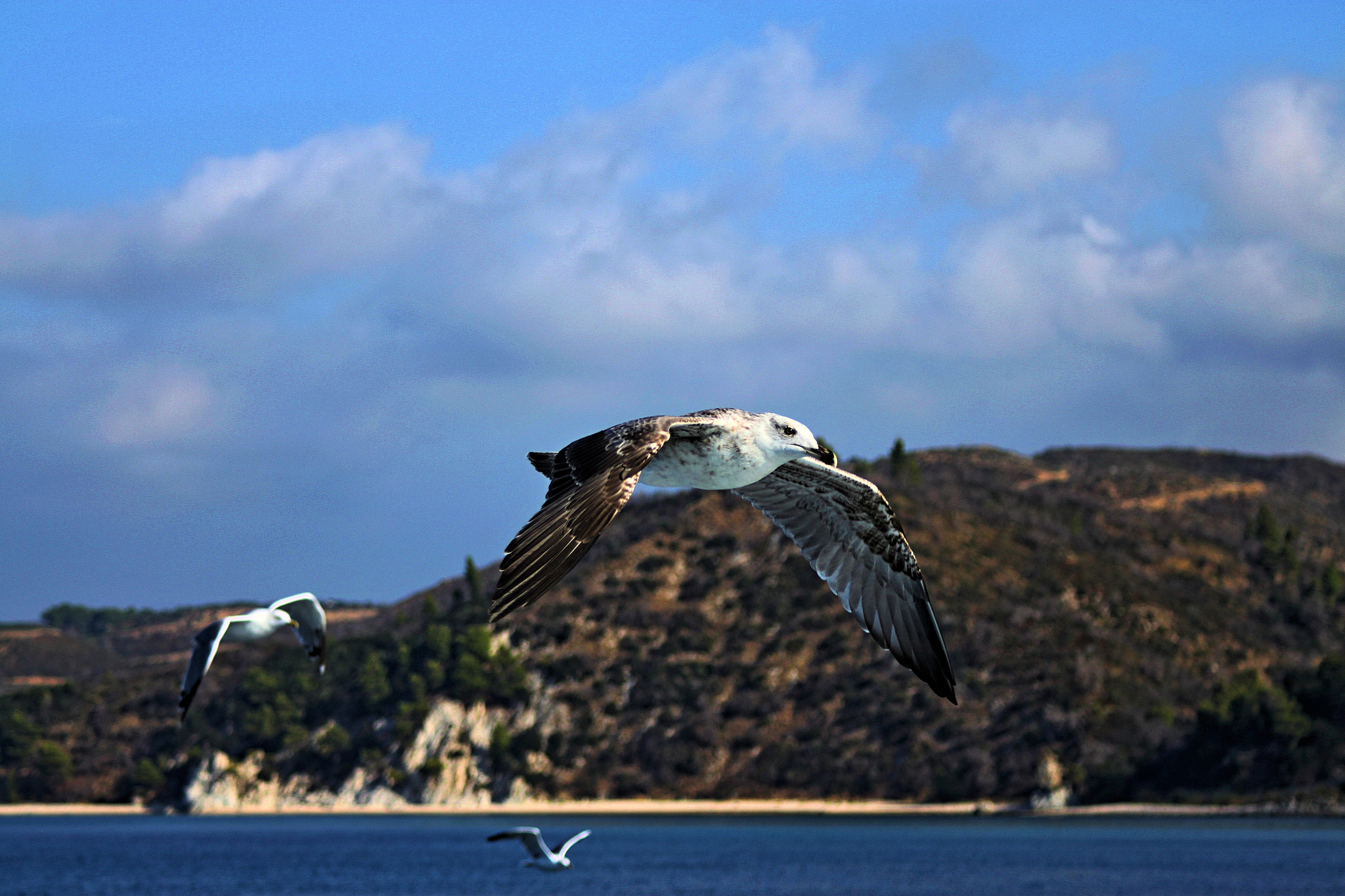 Canon EF 28-90mm f/4-5.6 sample photo. Τα ''συνοδευτικα'' photography