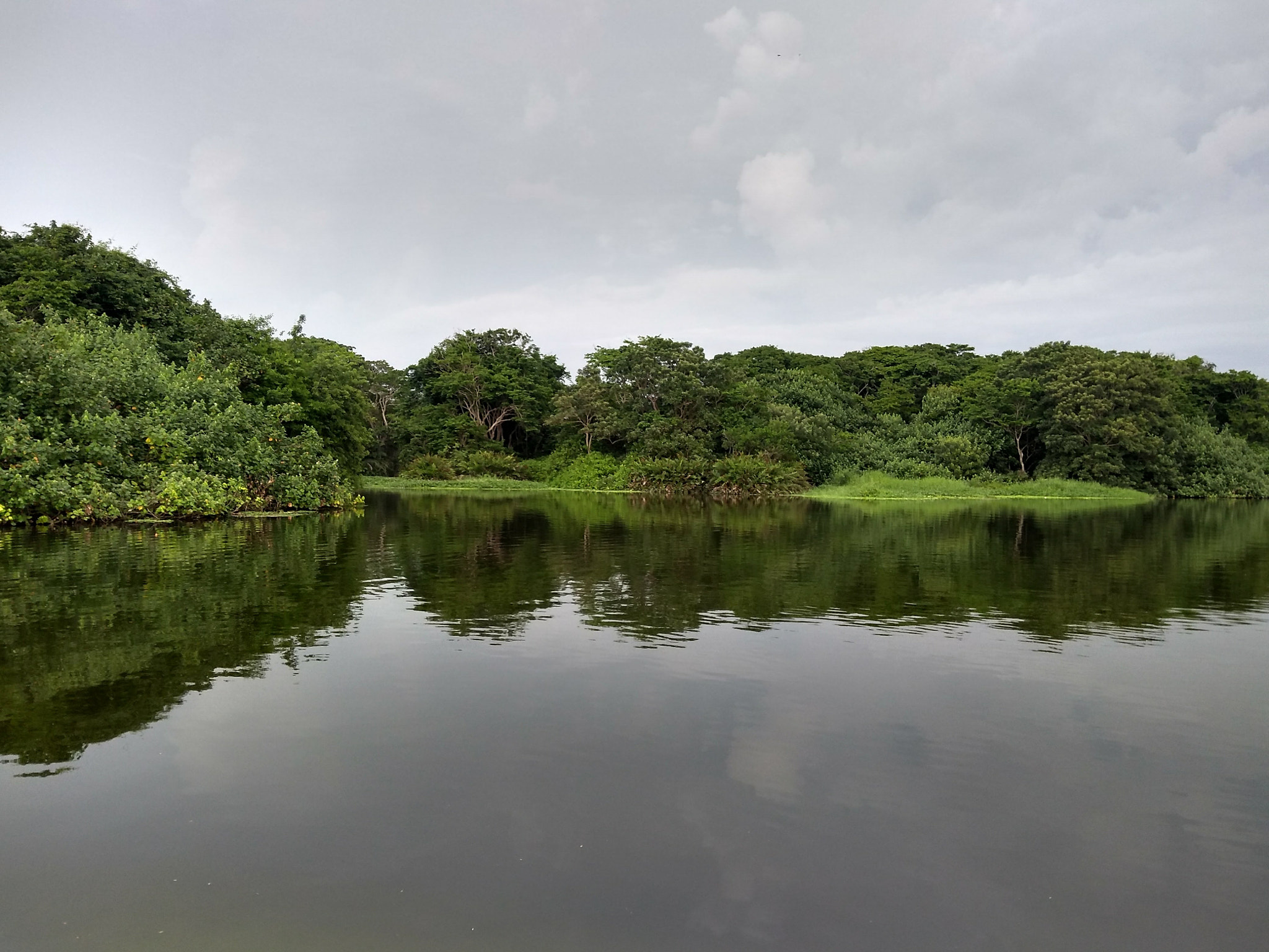 Motorola Moto G (5S) Plus sample photo. Reflection photography