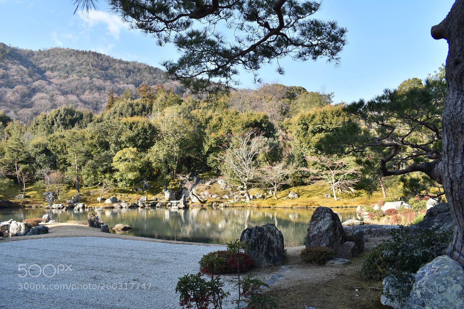 Nikon D5600 sample photo. Garden photography