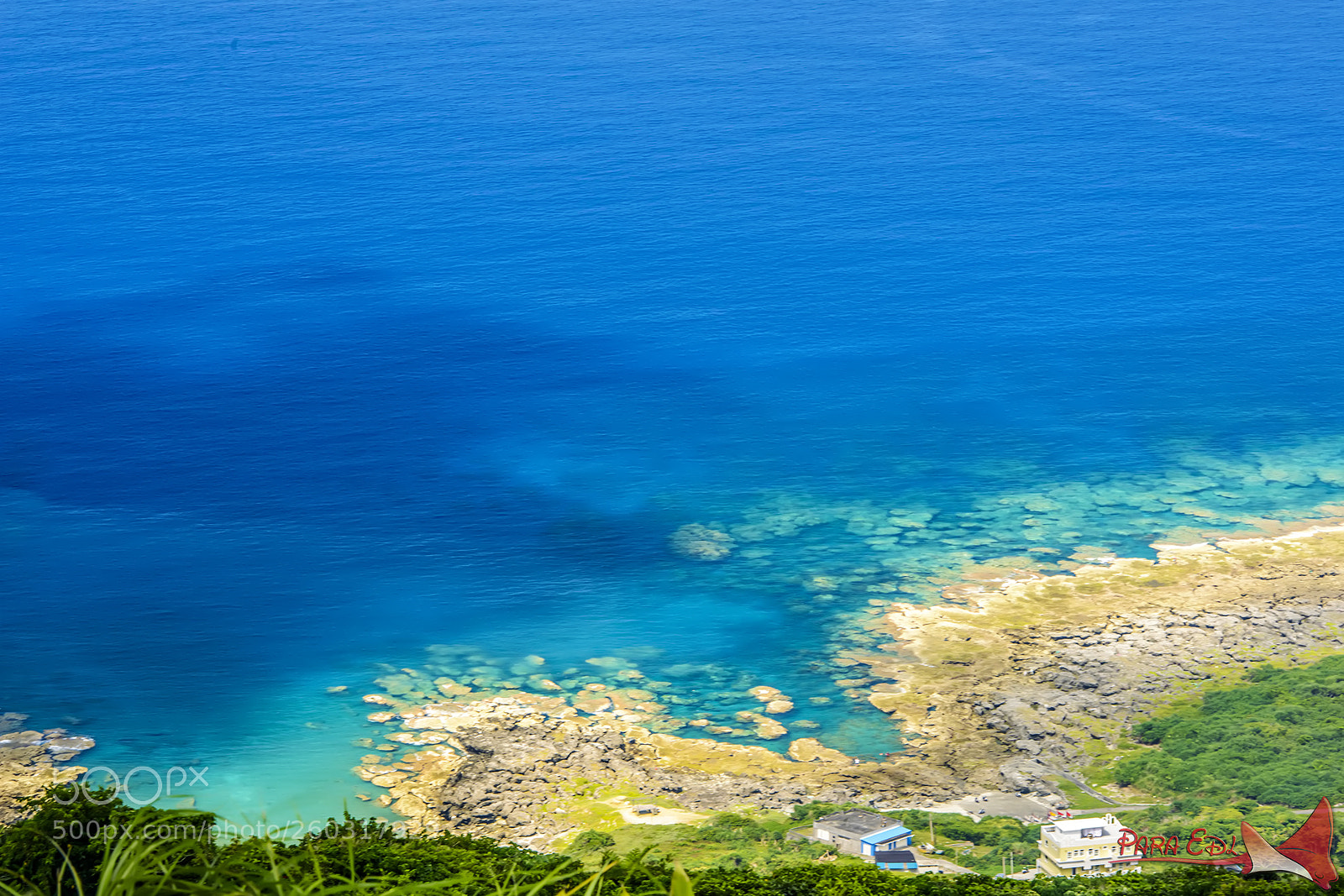 Nikon D800E sample photo. Da-wu( lan-yu) photography