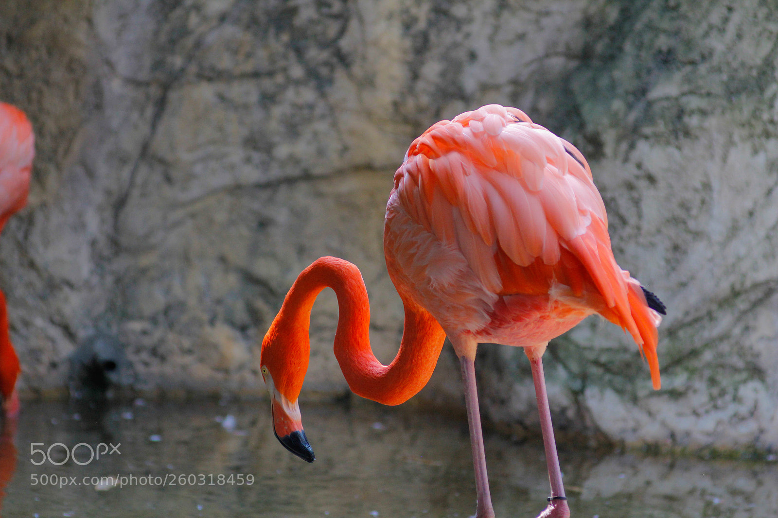 Canon EOS 60D sample photo. Untitled photography