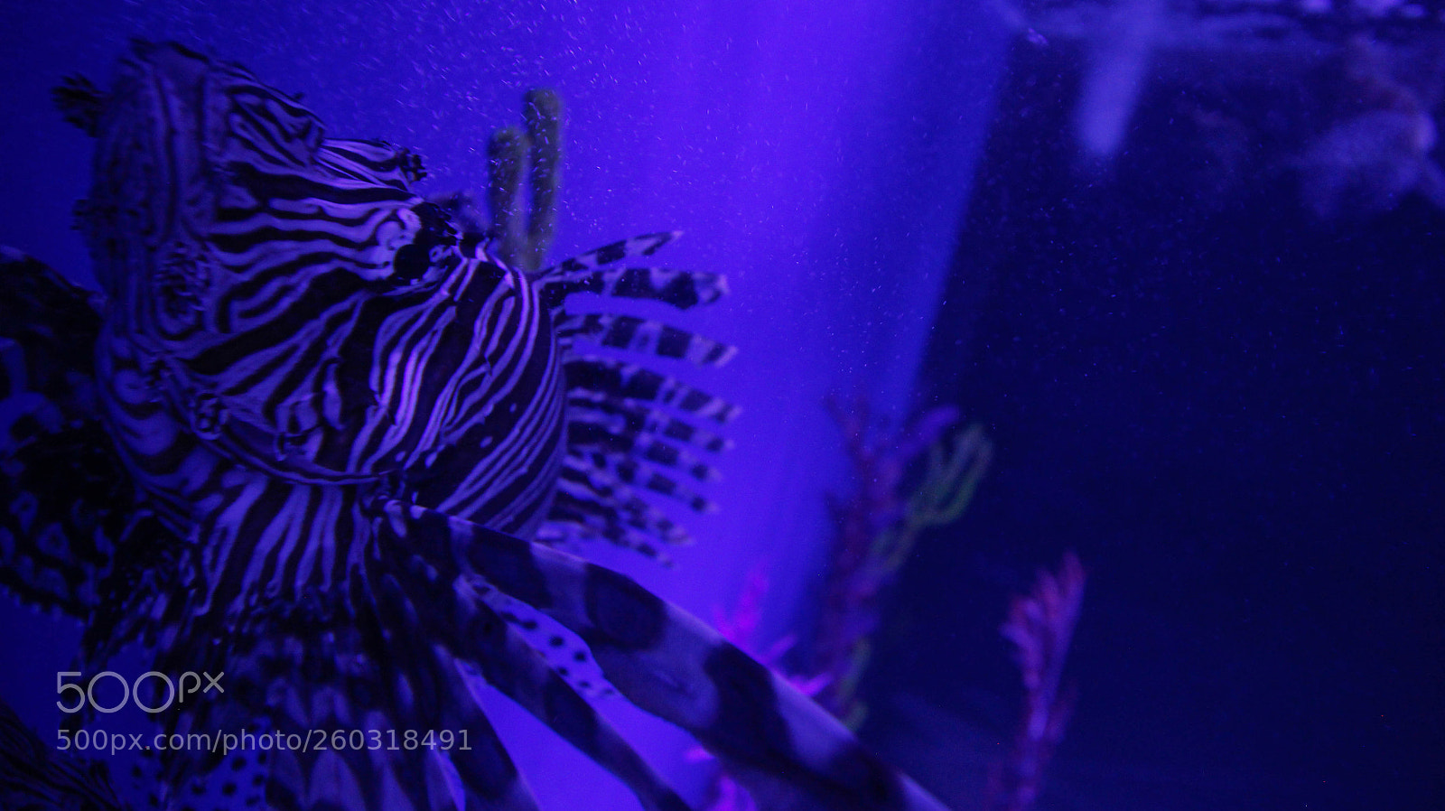 Canon EOS 60D sample photo. Untitled photography