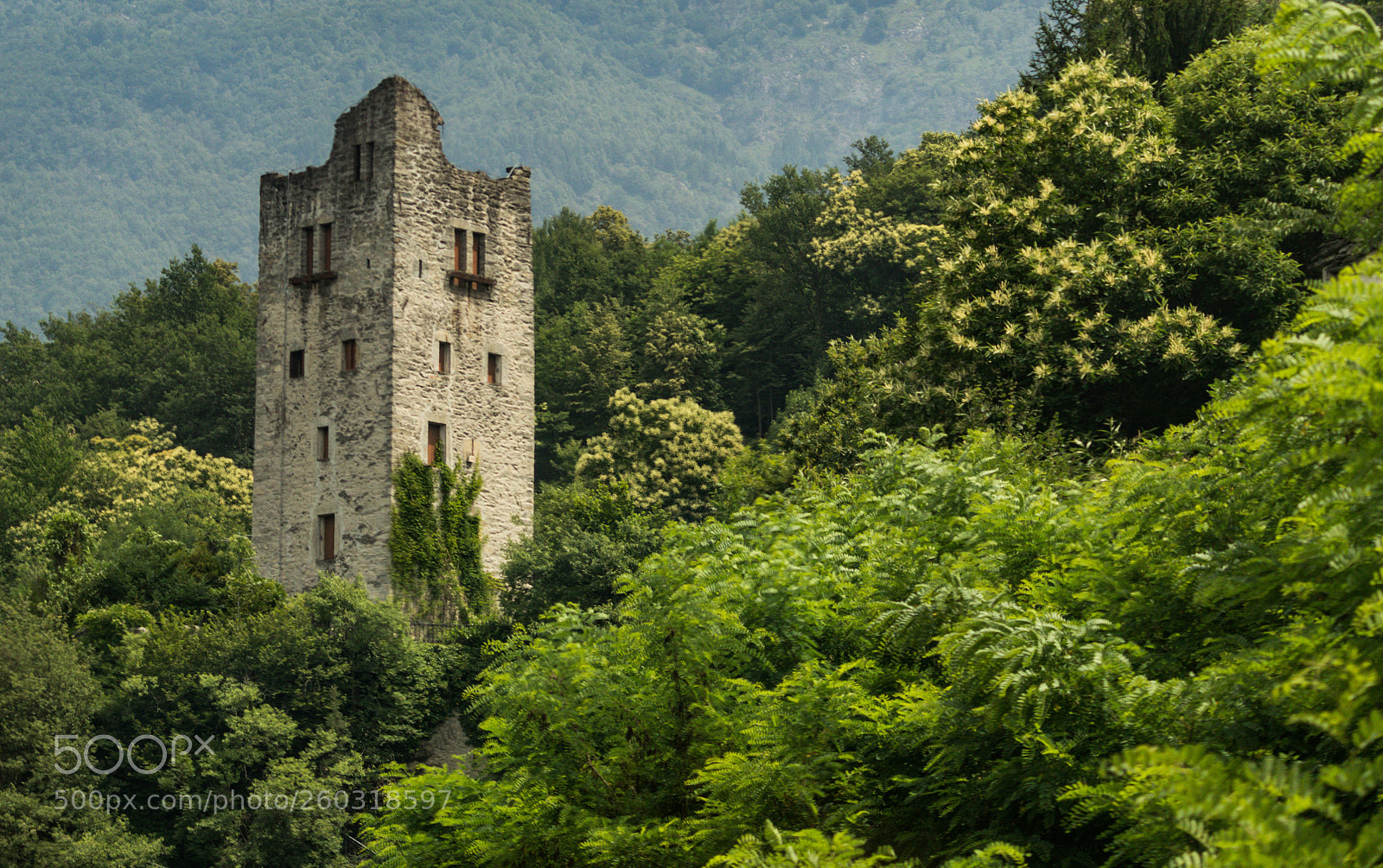 Canon EOS 80D sample photo. Switzerland ruins photography