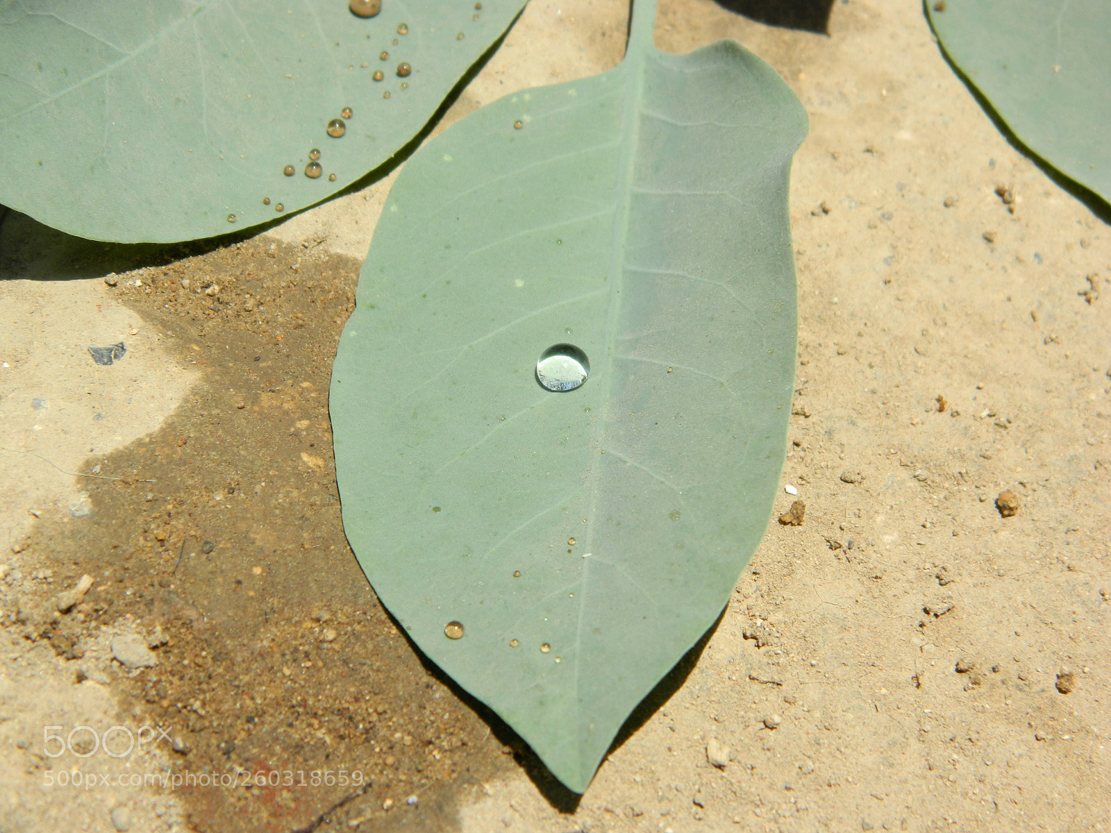 Nikon Coolpix L120 sample photo. Impermeable photography