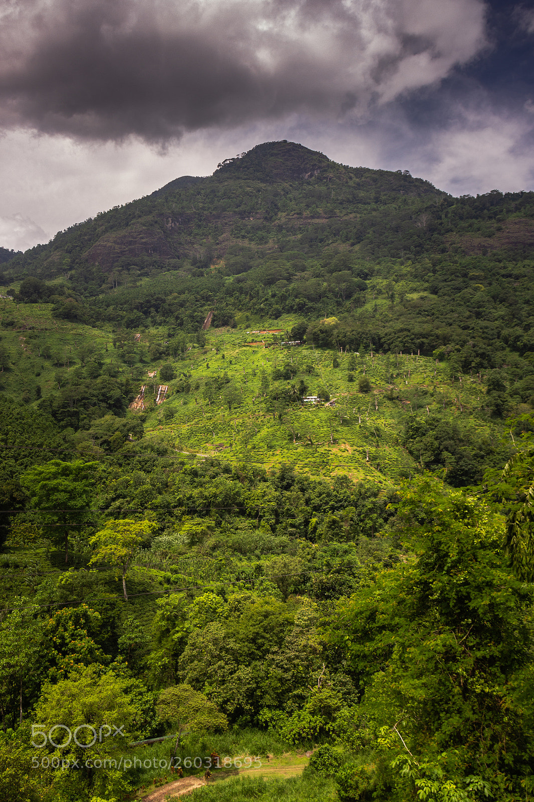 Canon EOS 600D (Rebel EOS T3i / EOS Kiss X5) sample photo. Doolagala mountain, sri lanka photography