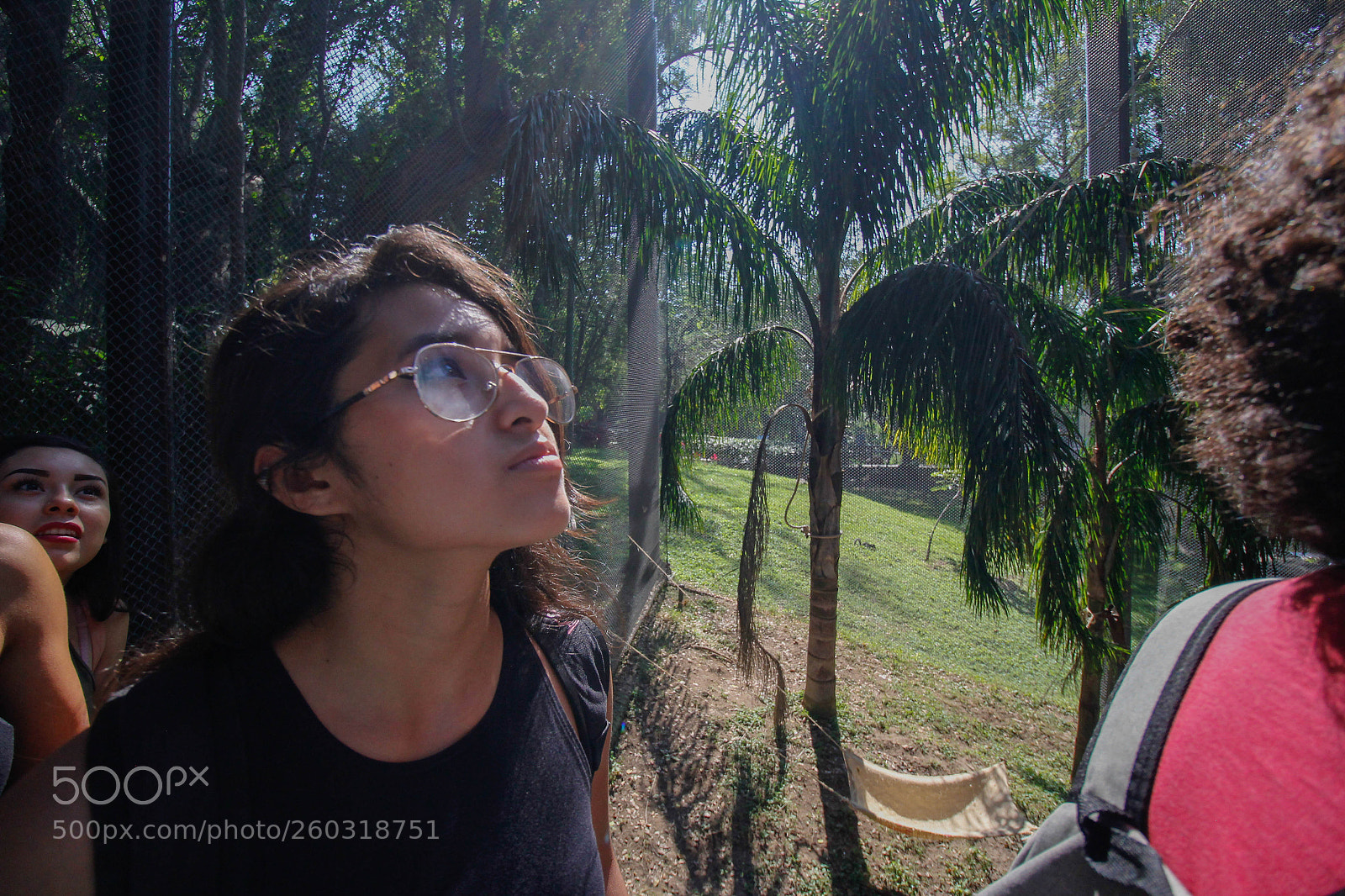 Canon EOS 60D sample photo. Untitled photography