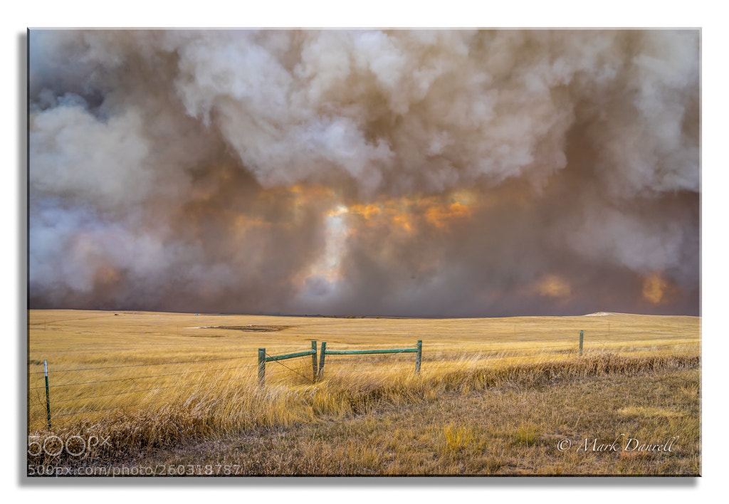 Sony a7 II sample photo. S dakota prarie file photography