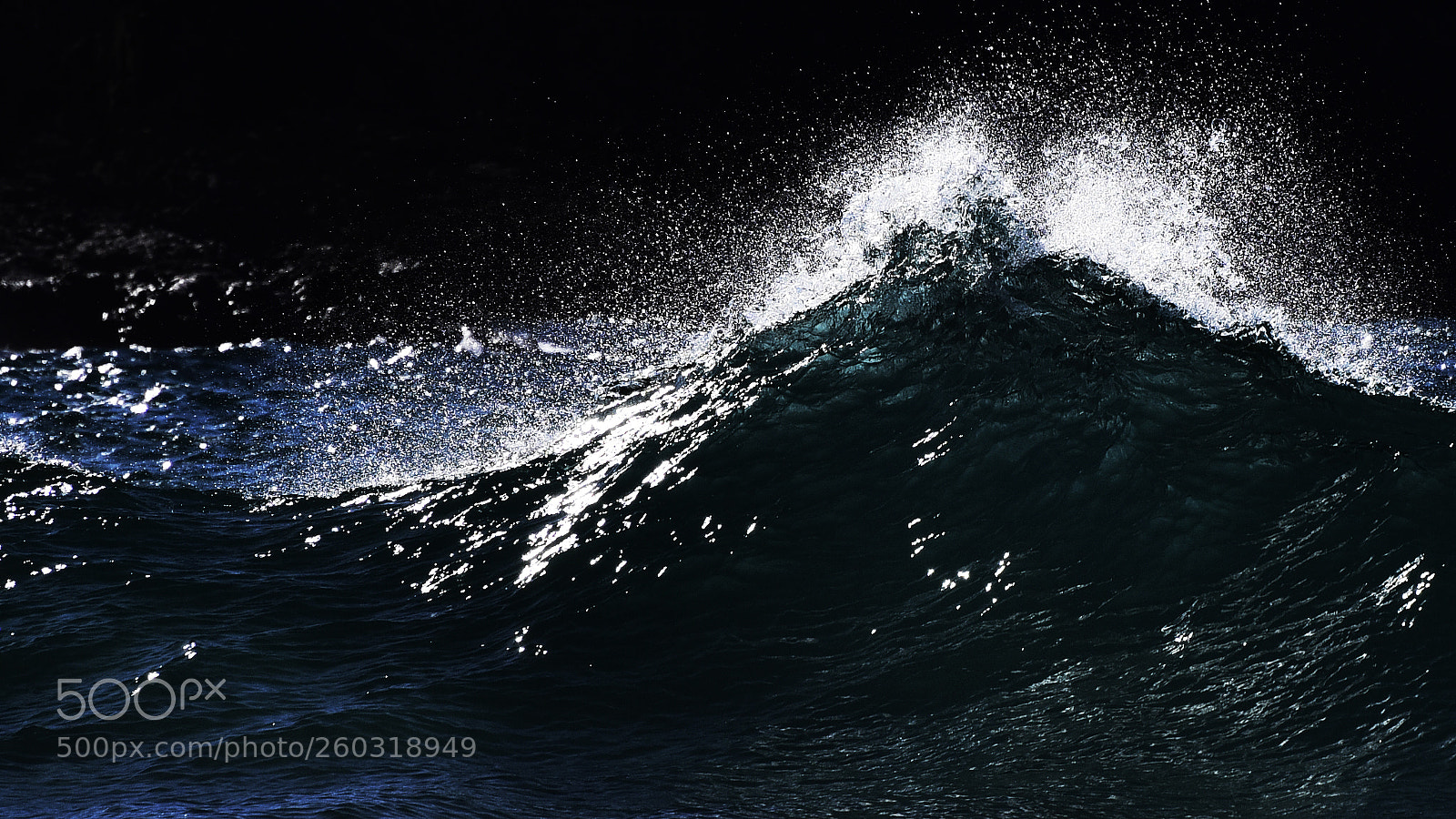 Nikon D810 sample photo. Wedge of ....... photography
