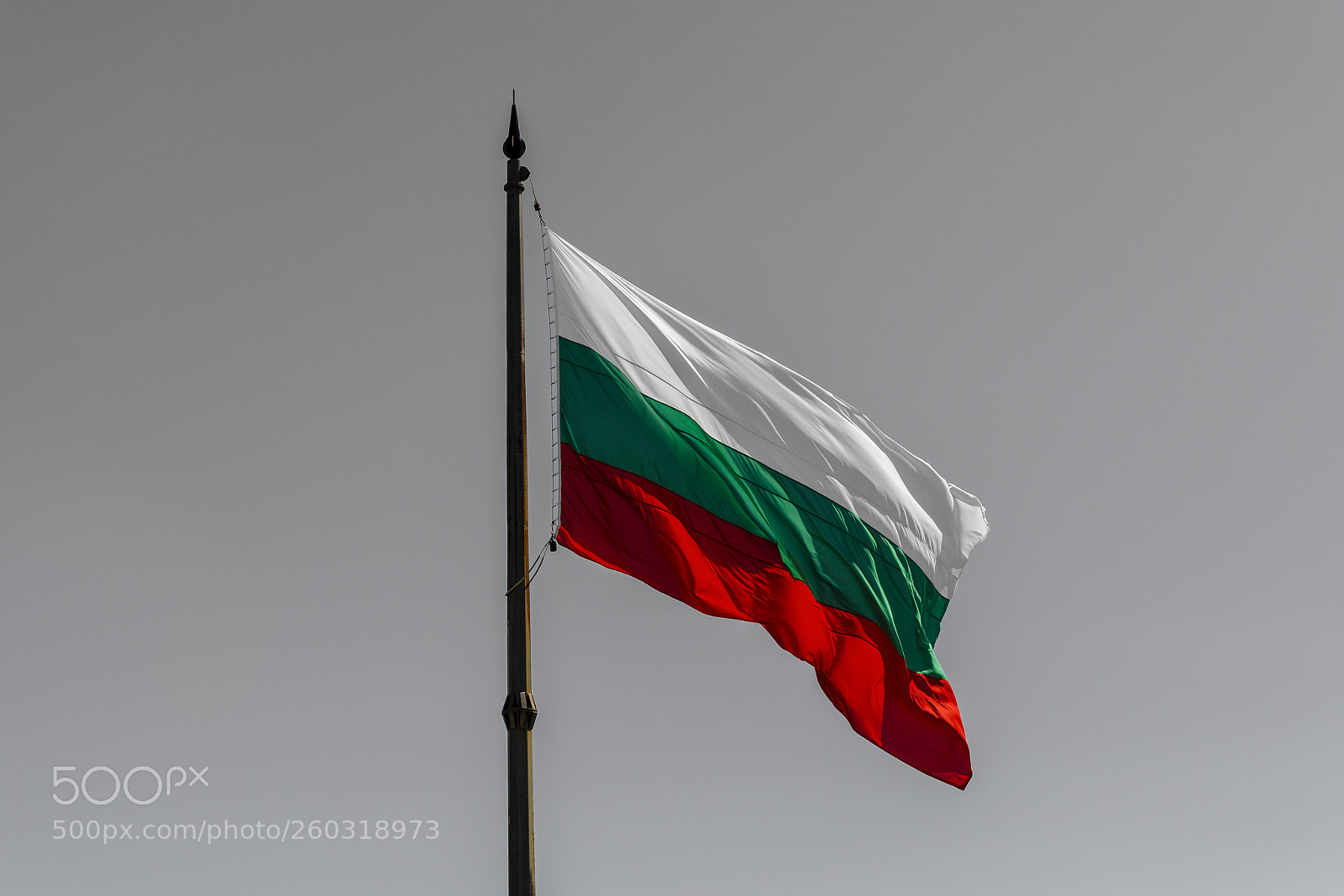 Nikon D5100 sample photo. Bulgarian national flag photography