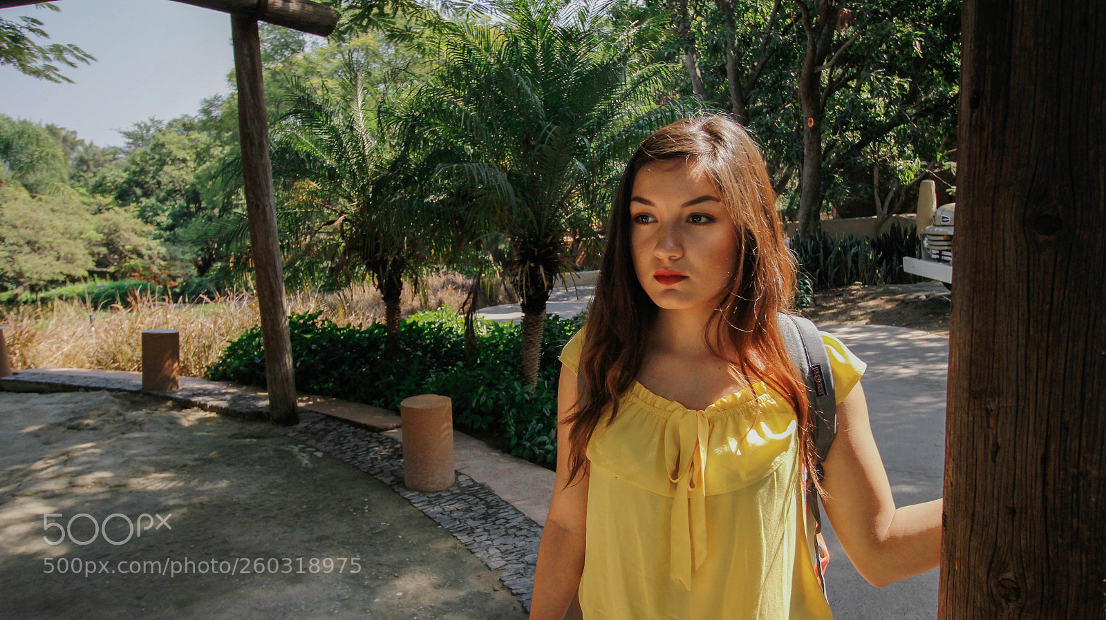 Canon EOS 60D sample photo. Untitled photography