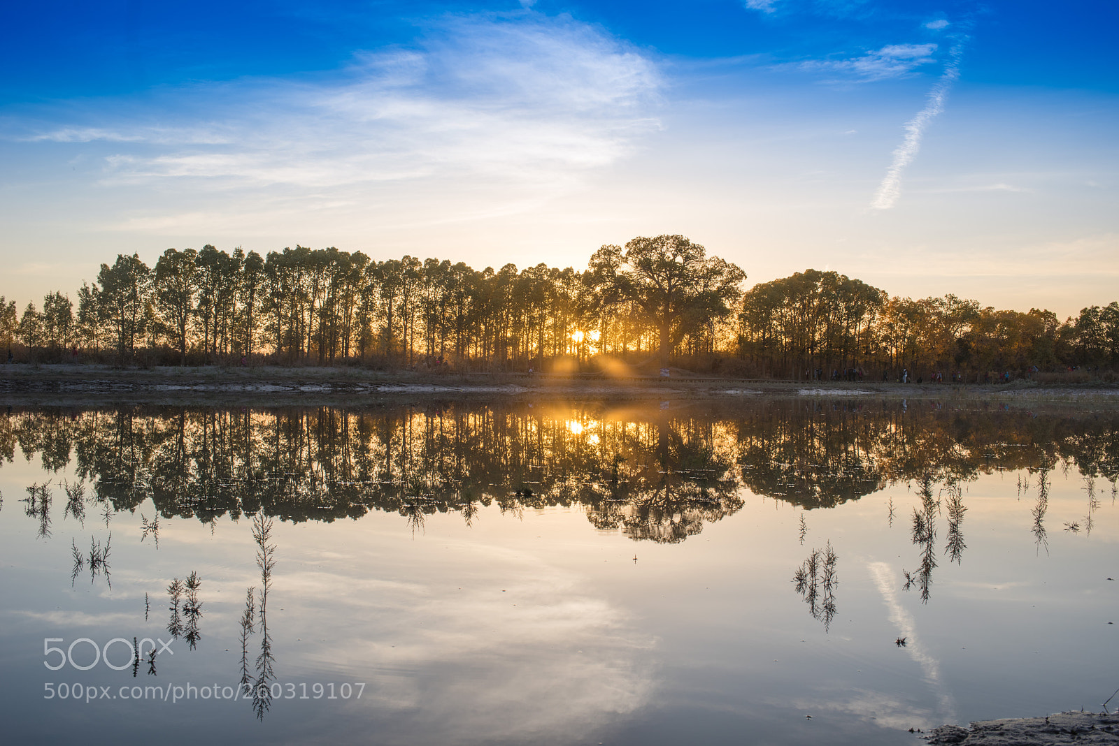 Nikon D810 sample photo. 额济纳胡杨林日落sunset photography