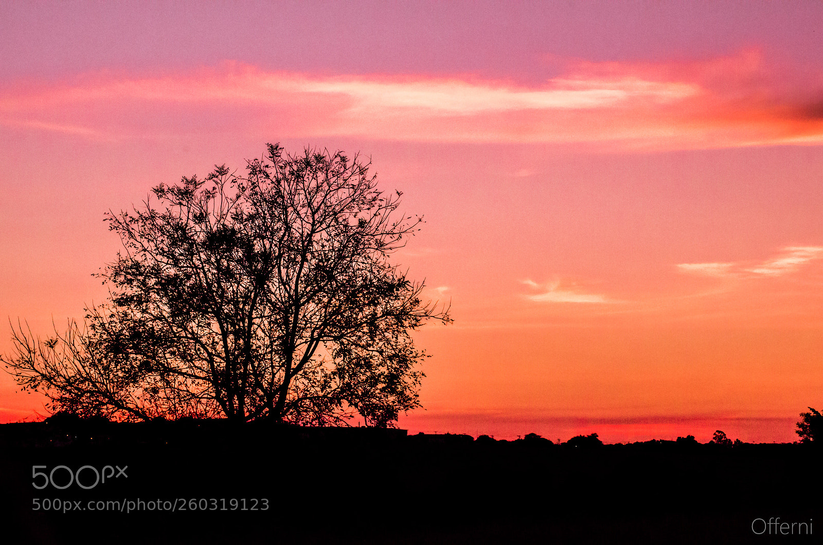 Nikon D5100 sample photo. Sunset in pederneiras-brazil 2 photography