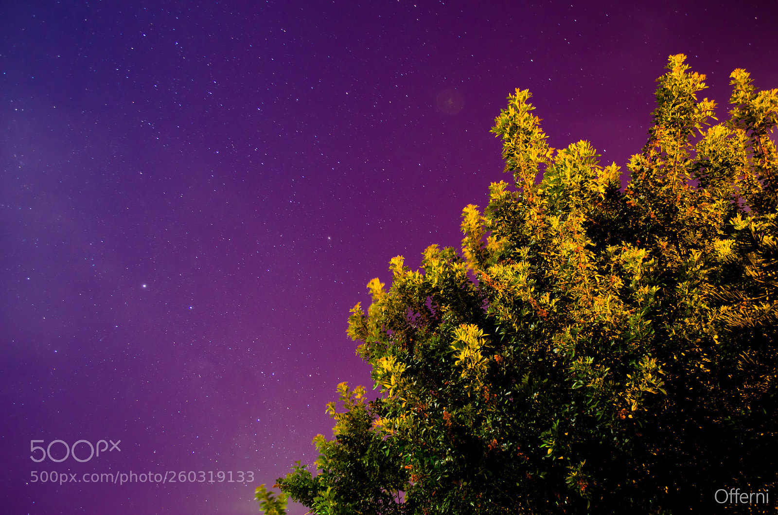Nikon D5100 sample photo. My first night shooting photography